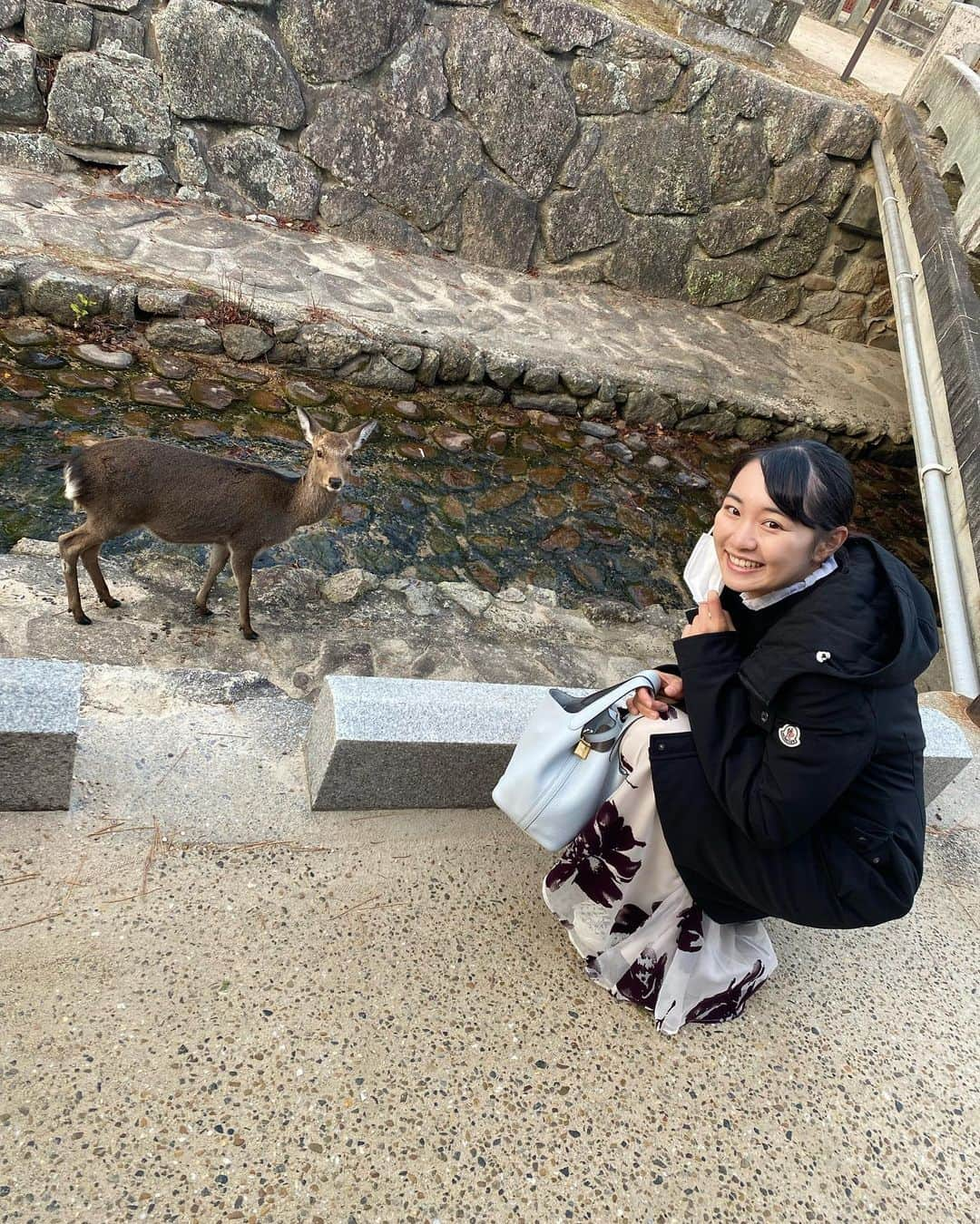 三浦桃香さんのインスタグラム写真 - (三浦桃香Instagram)「広島に行ったら鹿いたよ🦌  #厳島神社  #鹿」12月17日 13時22分 - momokamiura_official