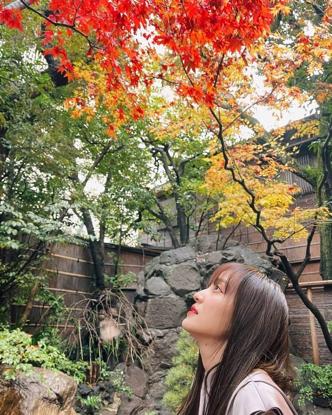 百田夏菜子さんのインスタグラム写真 - (百田夏菜子Instagram)「🍁」12月17日 18時23分 - kanakomomota_official