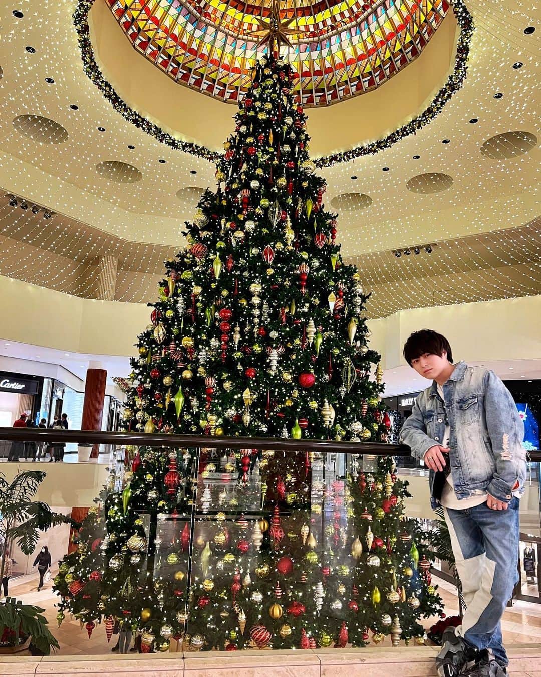 のインスタグラム：「クリスマスイブにMステ出ます。 「ツキミソウ」歌わせてもらいます。 クリスマスは京セラドームでライブです。 逆に彼女が居なくてよかったと思いました。笑 最高のクリスマスを一緒に過ごしましょう。  #novelbright #Mステ #レディクレ  #クリスマス #クリスマスイブ #クリスマスツリー  #merrychristmas #christmas #christmastree  #百貨店のツリーの前でカッコつけようとすな #ロサンゼルスの百貨店のツリー綺麗すぎた  #久々のMステ嬉しいな #年末怒涛の快進撃始まります」