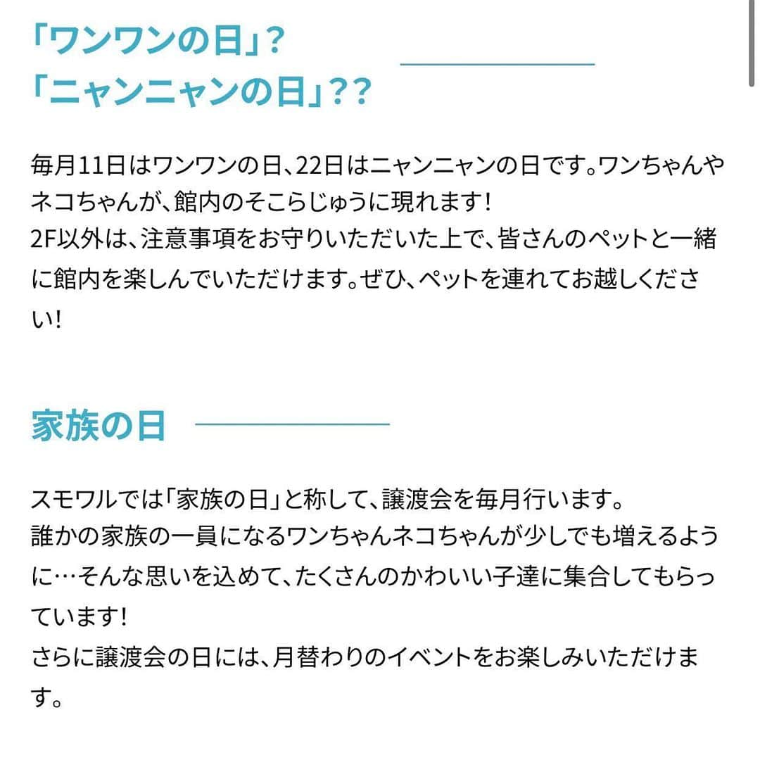 大原かおりさんのインスタグラム写真 - (大原かおりInstagram)「先日、有明にある『スモールワールズTOKYO』のPetDayに遊びに行ってきました🐶😻💞 @smallworlds_official  会場で、 とよた真帆さん @maho_toyota  さとう珠緒ちゃん @tamao_satoh  マルゴ&ミネットちゃんママ @isudarie  に会えました😋💕  通常日はワンちゃん&ネコちゃんはNGですが、 PetDayのみ一緒に入れます。 次回は、明日と明後日の 12月18,19日(土,日)にPetDayが開催されます🗓✨  動物保護活動の譲渡会もあって、可愛くて人懐こいワンちゃん&ネコちゃんにも癒されました！！ Do One Goodさんが、 @doonegood  保護犬・保護猫の譲渡会を運営してくださっています。  会場内に里親募集している子の写真が常時貼ってあったりと。。 本当に素敵な方達がワンちゃん&ネコちゃんの家族を探してくれていて心が温かくなりました🐶😽🏠💝  譲渡会も定期的に開催されたり、ペットを抱っこして 3Dも作れるので是非行って見てください❣️ 詳細は @smallworlds_official のホームページを ご覧くださいませっ🐶😽✨  ⭐️スモールワールズTOKYO⭐️ 東京都江東区有明1丁目3ー33 ⑅*⸌◡̈⸍*⑅  #スモールワールズ東京 #スモールワールズトーキョー #有明 #PetDay #譲渡会 #犬猫 #里親募集 #とよた真帆 さん #さとう珠緒 ちゃん#マルゴ #ミネット #いつもありがとう😊」12月17日 22時10分 - oharagaori_otty