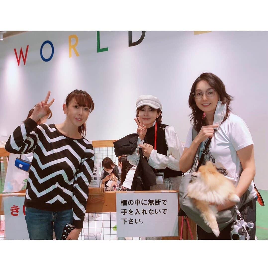 大原かおりのインスタグラム：「先日、有明にある『スモールワールズTOKYO』のPetDayに遊びに行ってきました🐶😻💞 @smallworlds_official  会場で、 とよた真帆さん @maho_toyota  さとう珠緒ちゃん @tamao_satoh  マルゴ&ミネットちゃんママ @isudarie  に会えました😋💕  通常日はワンちゃん&ネコちゃんはNGですが、 PetDayのみ一緒に入れます。 次回は、明日と明後日の 12月18,19日(土,日)にPetDayが開催されます🗓✨  動物保護活動の譲渡会もあって、可愛くて人懐こいワンちゃん&ネコちゃんにも癒されました！！ Do One Goodさんが、 @doonegood  保護犬・保護猫の譲渡会を運営してくださっています。  会場内に里親募集している子の写真が常時貼ってあったりと。。 本当に素敵な方達がワンちゃん&ネコちゃんの家族を探してくれていて心が温かくなりました🐶😽🏠💝  譲渡会も定期的に開催されたり、ペットを抱っこして 3Dも作れるので是非行って見てください❣️ 詳細は @smallworlds_official のホームページを ご覧くださいませっ🐶😽✨  ⭐️スモールワールズTOKYO⭐️ 東京都江東区有明1丁目3ー33 ⑅*⸌◡̈⸍*⑅  #スモールワールズ東京 #スモールワールズトーキョー #有明 #PetDay #譲渡会 #犬猫 #里親募集 #とよた真帆 さん #さとう珠緒 ちゃん#マルゴ #ミネット #いつもありがとう😊」