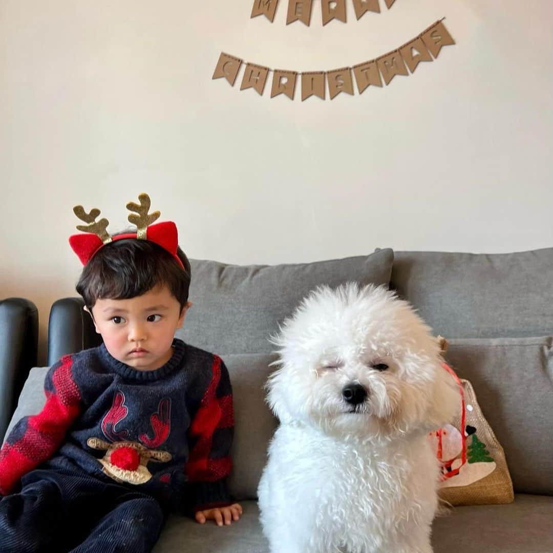 Ayaさんのインスタグラム写真 - (AyaInstagram)「たまらんふたり👦🏻🐶🎄🎁 はじめましてのクマ🐻‍❄️ かわいかったぁ！🥺💕 実家のワンちゃんと同じやから ずっと名前間違えて呼んでた😂笑 きっと一緒やと思ってる🤣🧐  #2歳#男の子#ワンちゃん#犬#ビションフリーゼ  #クマ#クリスマス会#癒し#👦🏻🐶#らぶ」12月18日 10時24分 - aya__fit