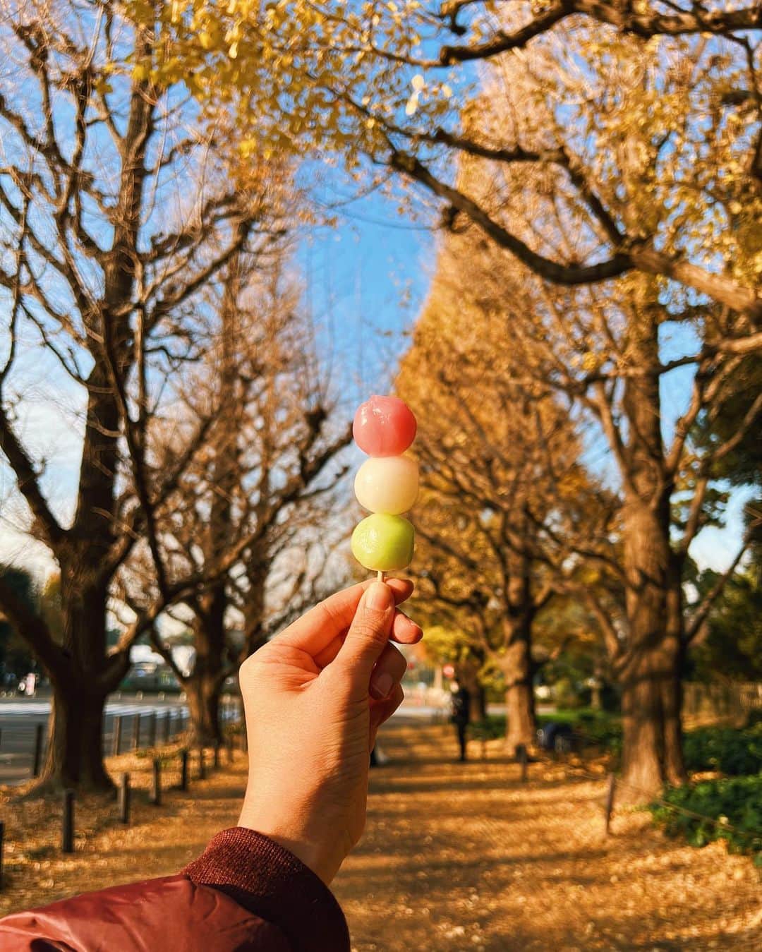 Girleatworldのインスタグラム：「Can you believe it? My first #girleatworld shot in two years! 🤗🍡  I haven't been able to travel outside of Singapore since late 2019 thanks to the pandemic. So when Singapore finally loosened up its border restrictions, we wasted no time booking our flight to Tokyo to be reunited with our family.  After serving quarantine, I went to the famous Gingko avenue at Meiji Jingu park in hopes to take photos of the yellowing gingko trees, which are planted allll over the sidewalks of major roads in Tokyo, only to find out I was a few days late 🥺 most of the leaves in this area had fallen off. Apparently, when a gingko tree sheds its leaves, they fall simultaneously all at once. I did notice a few gingko trees around my area that was lush has turned bare almost overnight. However, I also noticed other trees that are still lush while the others next to it are bare. I guess the leaves would still fall at different rates per trees! 🍂  #shotoniphone #iphone13promax #gingko #gingkotree #銀杏 #tokyo #🍡 #🍂」