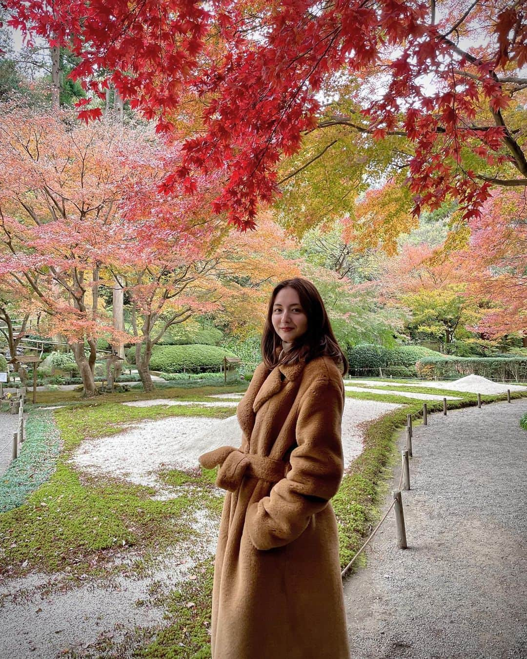 エリーローズさんのインスタグラム写真 - (エリーローズInstagram)「Appreciating the last Autumn foliage in Kamakura🍁🍂 水のように澄み切った秋空の下、ゆっくり鎌倉巡り。紅く色づいた楓が明月院の庭園を彩っていて素晴らしかった。紅葉は初秋も良いが、何と言っても晩秋にかぎる。また来年も来たいな☺️」12月18日 15時18分 - ellirose