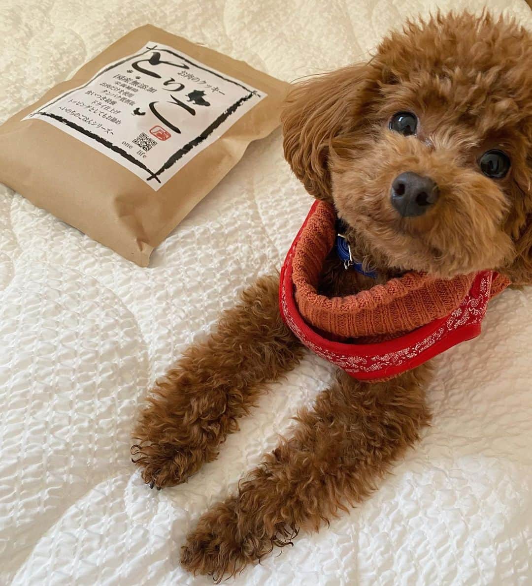 佐々木萌香のインスタグラム