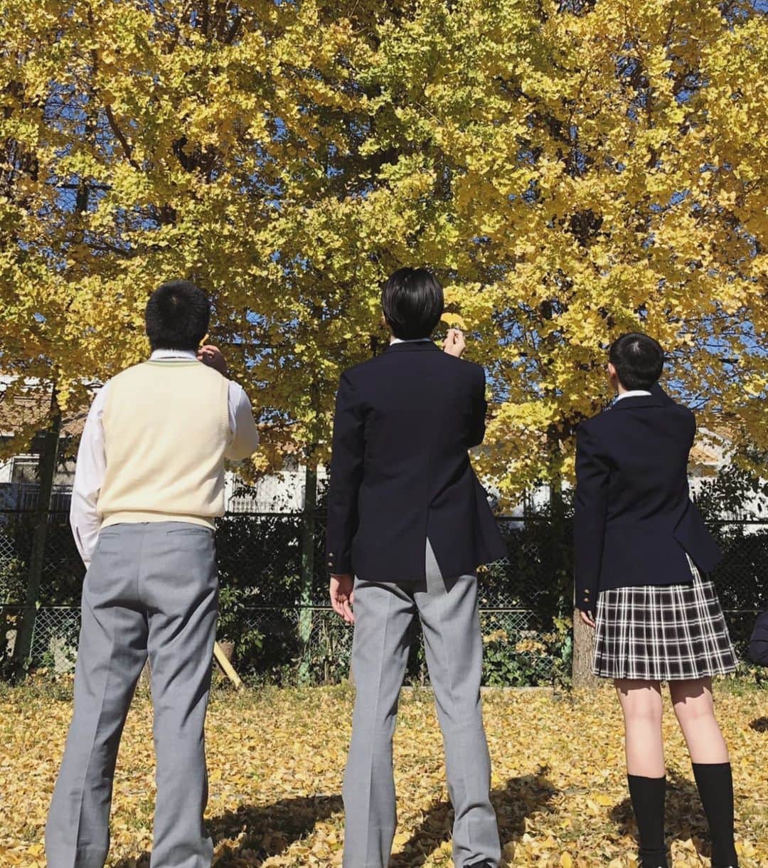 田幡妃菜のインスタグラム：「｢顔だけ先生｣今夜23時40分から最終回放送です！！  10月9日に1話が放送されあっという間に最終回になってしまいました😭😭 最後まで笑って泣いて｢顔だけ先生｣を楽しんでください😊  園芸部3人の写真すごくお気に入りなんです！😍」