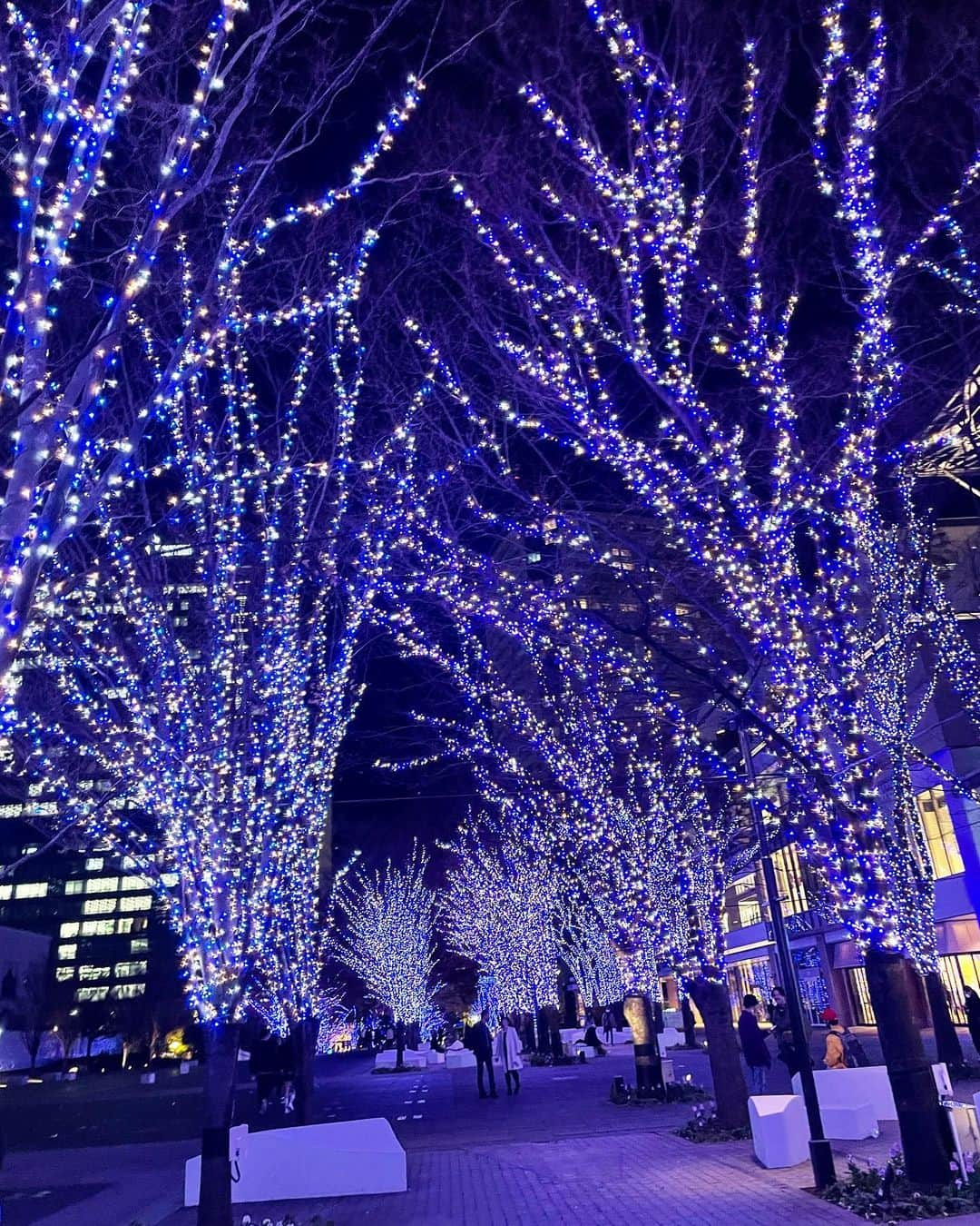 相良ましろさんのインスタグラム写真 - (相良ましろInstagram)「. Minatomirai illumination❄️  みなとみらい駅からすぐだしすごく綺麗でオススメ！ 寒いけどイルミ見て心は温まった❤️‍🔥  .  #イルミネーション #イルミネーション2021 #みなとみらい #イルミネーション🎄 #クリスマス #横浜 #ショートカット #ショートヘア #モデル」12月18日 19時54分 - mashiro_sagara