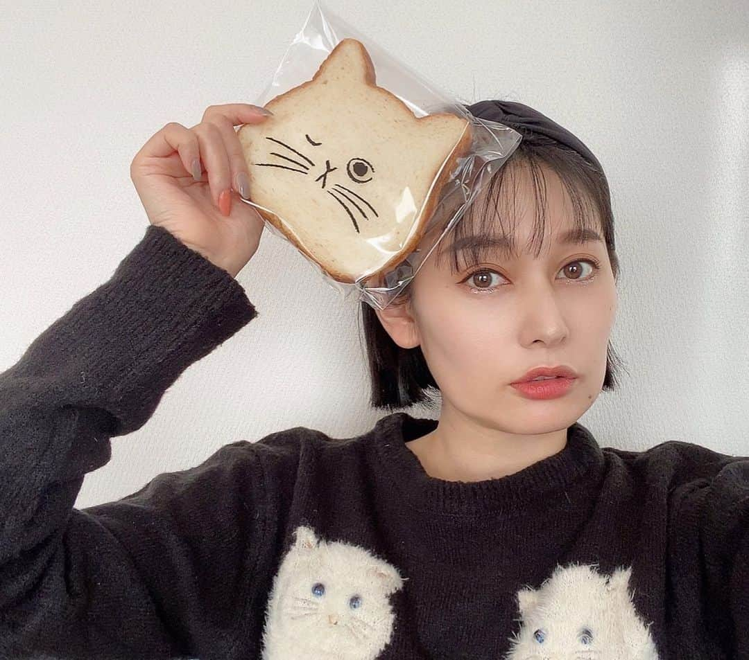 佐藤乃莉さんのインスタグラム写真 - (佐藤乃莉Instagram)「猫パン🍞🥖🥐🥪  バター塗って羊羹挟んで食べてみて！ 美味しいよ😋  #cat#猫パン」12月19日 15時03分 - nori_sato_