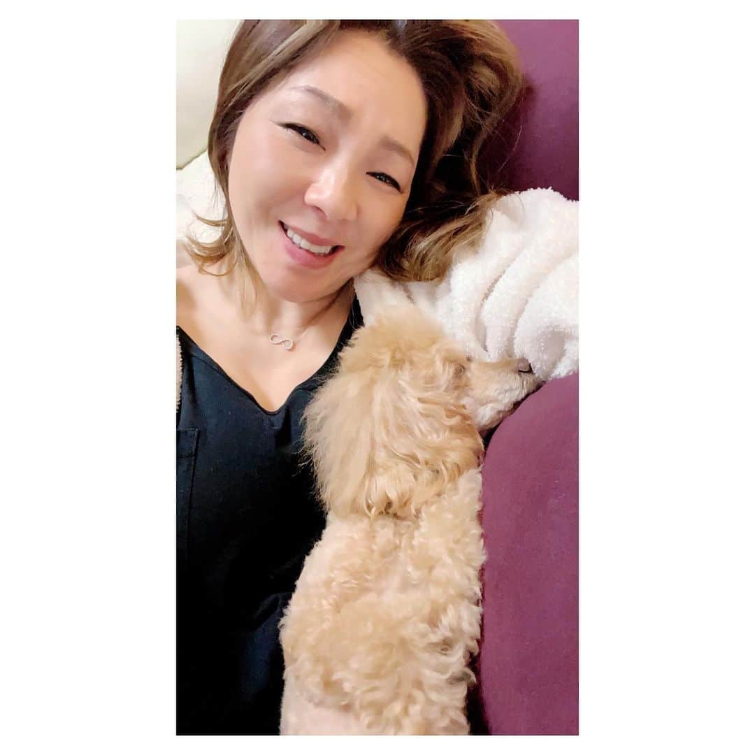 井上貴子のインスタグラム：「ない  ないない  なーーい  やる気スイッチがなーーーい！！  ってことで  きのうは午前中に やること済ませて  午後からはだらーーーーんと 久々にゆるりーーーーんと 過ごすことができたーー^ ^  そんな日もあります  さて  井上貴子YouTubeチャンネルの  貴子ちゃんちゅーぶ  観てくださってますかー？ チャンネル登録もぜひぜひ よろしくお願い致します  今日も撮影があります  夜なので風邪ひかないように 防寒ででかけよう  Happyで^ ^  プロフィール画面に記載のURLより 通販サイト「神取屋」に飛べます^ ^  コロナ禍に携わる全てのお仕事の皆様 心から感謝しています 引き続き油断せずお気をつけてお過ごし下さいませ  #井上貴子  #LLPWX #大掃除 #神取屋歳末セール #全品30%off #女子プロレス #womensprowrestring #トイプードル #ゆるーい日 #https://www.youtube.com/c/takacoinoue  #cacatocacat #貴子ちゃんちゅーぶ #YouTubeはじめました #チャンネル登録お願い致します #LLPWX通販サイト神取屋 #感謝 #STOPCOVID19」