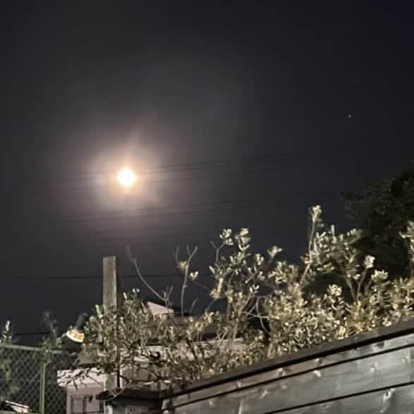 土屋太鳳さんのインスタグラム写真 - (土屋太鳳Instagram)「今夜は2021年最後の満月、 コールドムーン🌕️ 今年の中で 地球から最も遠い満月でもあります。 13時36分頃に満月の瞬間を迎えるそう。 もうすぐですね💡 シオンやかぐや姫やムーンプリンセスが 昇っていった月より きっと少し遠い月だけれど… とても美しい月でした✨✨✨ どうか夜は暖かくしてください🙏🙏🙏」12月20日 0時30分 - taotsuchiya_official