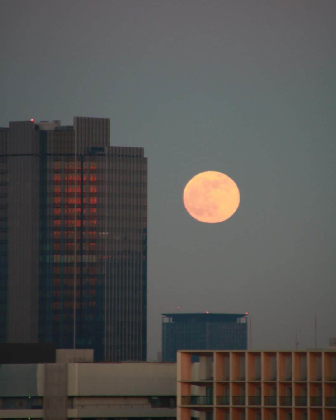 坂元美香さんのインスタグラム写真 - (坂元美香Instagram)「なんか大きな月昇ってきた！ とすぐにカメラを構えました。  年間で最も小さく見える満月のことを 『マイクロムーン』とも呼ぶそうで、 まさに今日12月19日は マイクロムーンなのだそうです！ （↑さっきGoogle先生に教えてもらった） それでも大きく見えたけどな🤔  やっぱり月を撮るのは難しい…  #満月 #マイクロムーン #ミニマムーン」12月19日 17時32分 - mika_saka