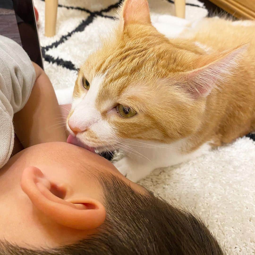 のインスタグラム：「我が家のお世話好き猫アキちゃん🐱 ⁡ 夕方のこんな時間になーたんを寝かせつけちゃいました…😅 ⁡ 明日学校だから起こしてー💦 夜が寝れなくなっちゃうー😭💦 #brother4 #YouTuber #猫のいる暮らし  #お世話  #猫好き」