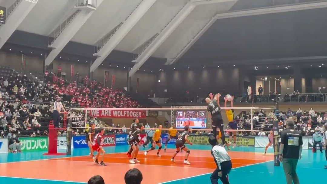 川口太一のインスタグラム：「This is the moment…. 🔥🎉😍👍🥇✨ @wolfdogs_nagoya  #天皇杯 #バレーボール #優勝」