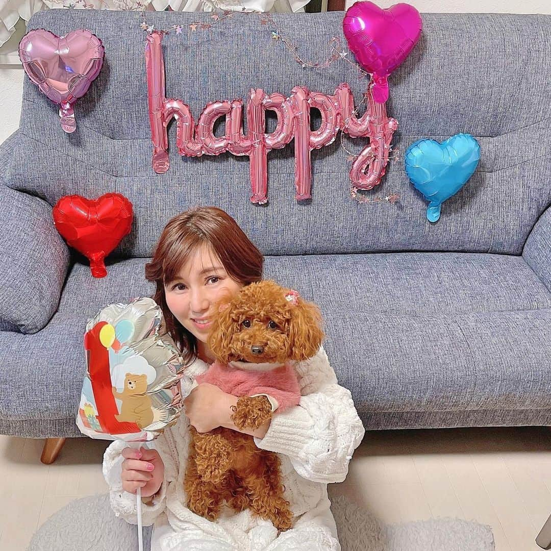 上原みなみさんのインスタグラム写真 - (上原みなみInstagram)「今日は、凛ちゃんの1歳お誕生日です。 ワンちゃん用のケーキ、美味しそうに食べていました。 #トイプードル #といぷーどる #といぷー #トイプードル女の子 #可愛い犬 #わんこ #わんすたぐらむ #わんこのいる生活」12月19日 23時13分 - minami.uehara