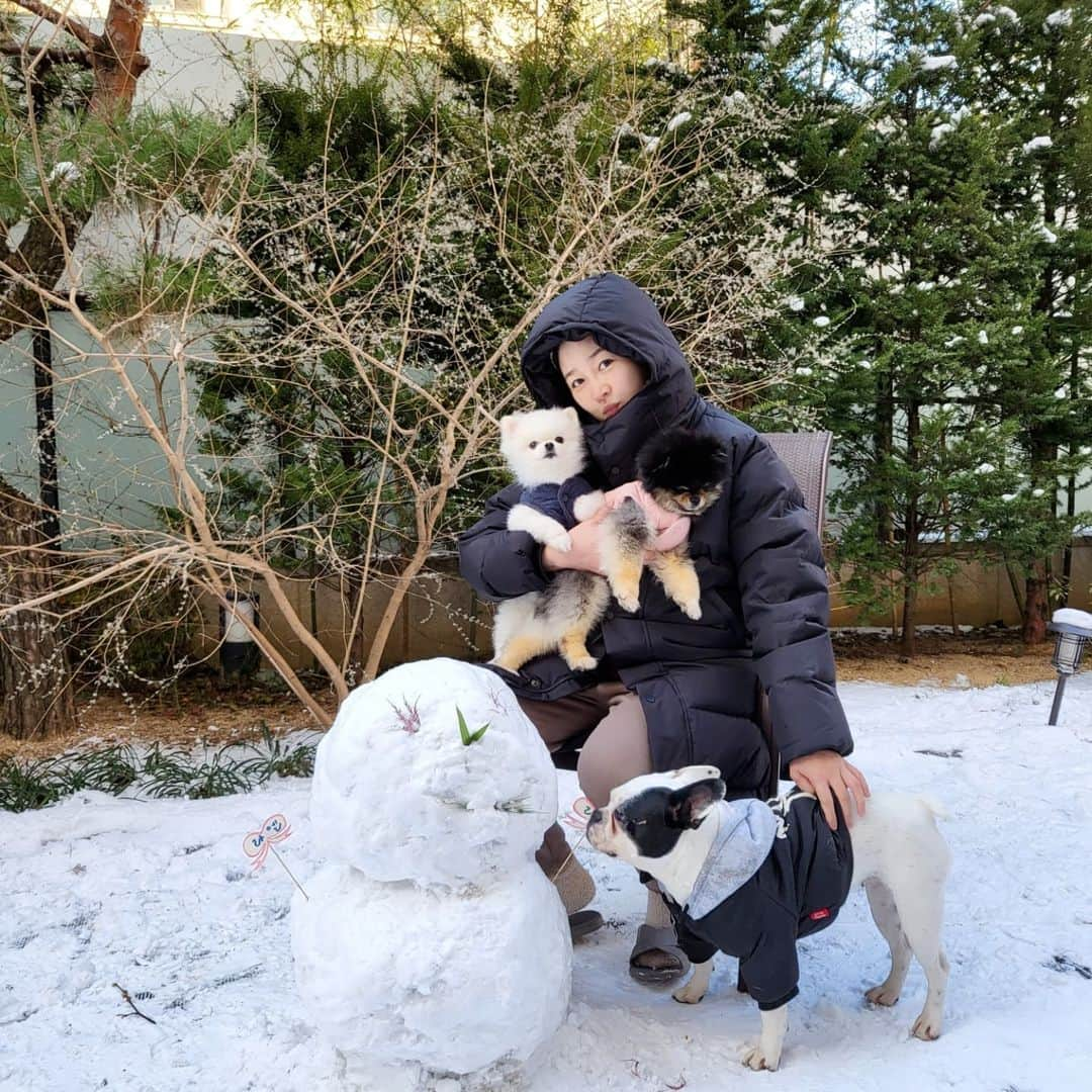 ソン・ユリのインスタグラム：「☃️🐷🐵🐰」