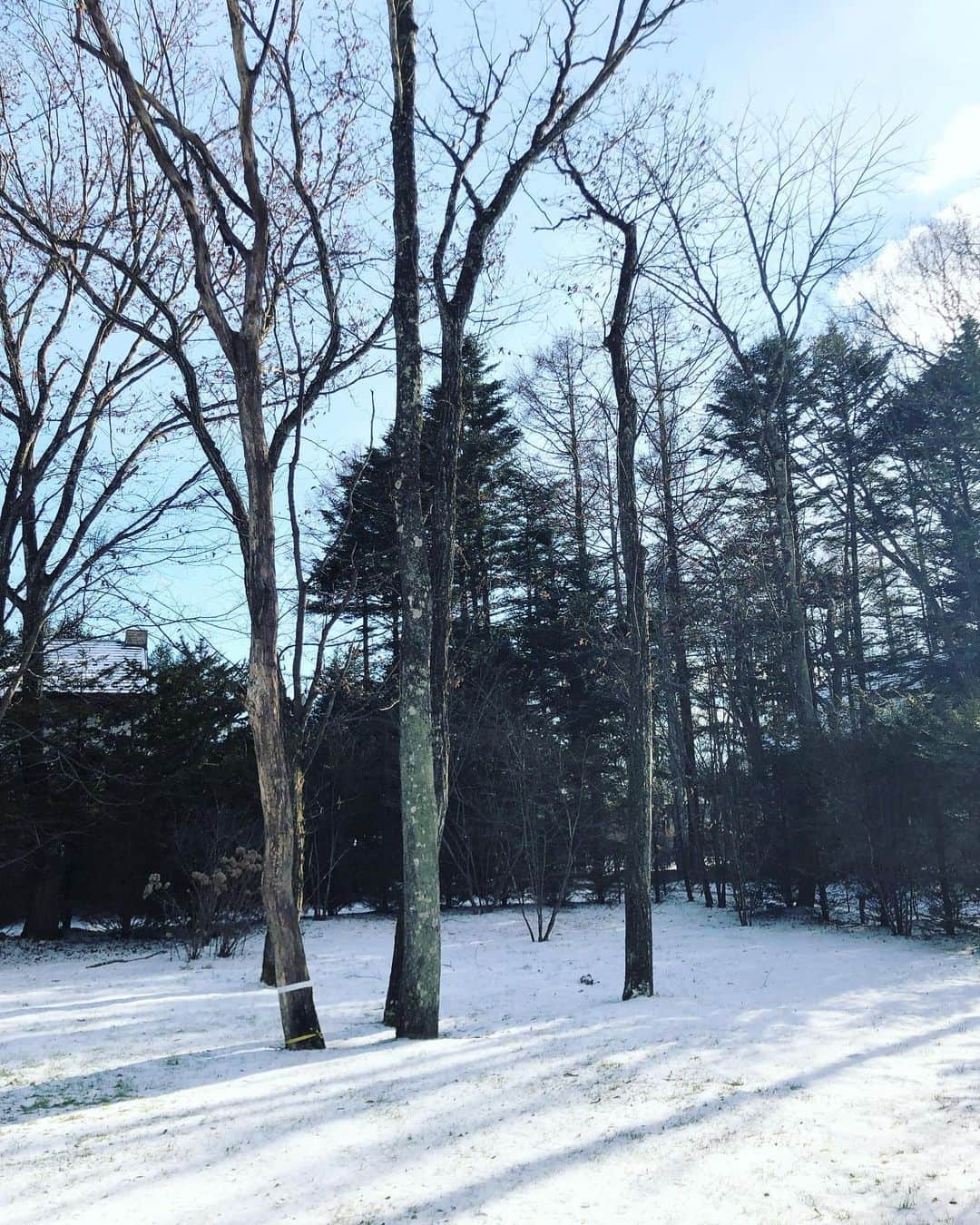 内田恭子さんのインスタグラム写真 - (内田恭子Instagram)「週末はほんのり雪景色の中で、つかの間の一息。空気がひんやり澄んでいる中、昼間は快晴。夜は寒すぎ。暖かい部屋の中がさらに心地よい。  さあ、年末に向けて元気にいくよー！  #ほんのり #雪景色 #集中力が高まる #内田恭子 #kyokouchida」12月20日 11時52分 - kyoko.uchida.official