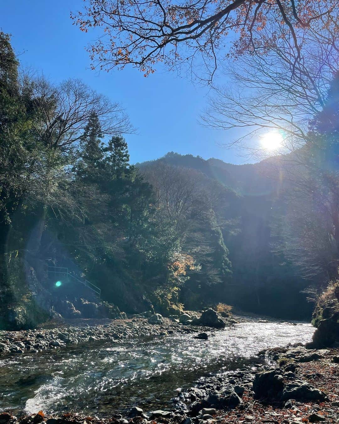 西山真以さんのインスタグラム写真 - (西山真以Instagram)「自然の中でのサ活体験🧖‍♀️🌿 @hinoko.jp  苦手意識のあったサウナでしたが、意外と好きになれるかも😽  少し足を延ばすと、東京にも自然溢れる気持ちのいい場所があることを知れたとある週末🌿  #hinokotokyo  #サウナ」12月20日 13時04分 - mai0830