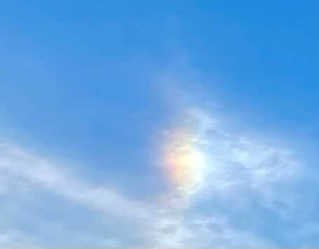 吉井明子さんのインスタグラム写真 - (吉井明子Instagram)「幻日🌈 初めて両側に見えました〜☺︎🌈 夢じゃない、げんじつだ😉嬉しい😆  「幻日（げんじつ）」は太陽の横で、薄雲が虹色に輝く現象です🌈  太陽高度が低い時に現れやすく、朝日や夕日の両脇によく見られます😌  ※目では太陽を直接見ないように、木に隠して手を伸ばして撮りました✨  #東京の空 #幻日 #太陽の横 #虹色 #🌈 #気象情報 #天気予報 #気象予報士 #気象キャスター #weatherforecaster #기상캐스터　#氣象主播 #吉井明子 #nhk #bs4k #bs1 #bsニュース4k」12月20日 15時27分 - akiko_yoshii_sunny_rain