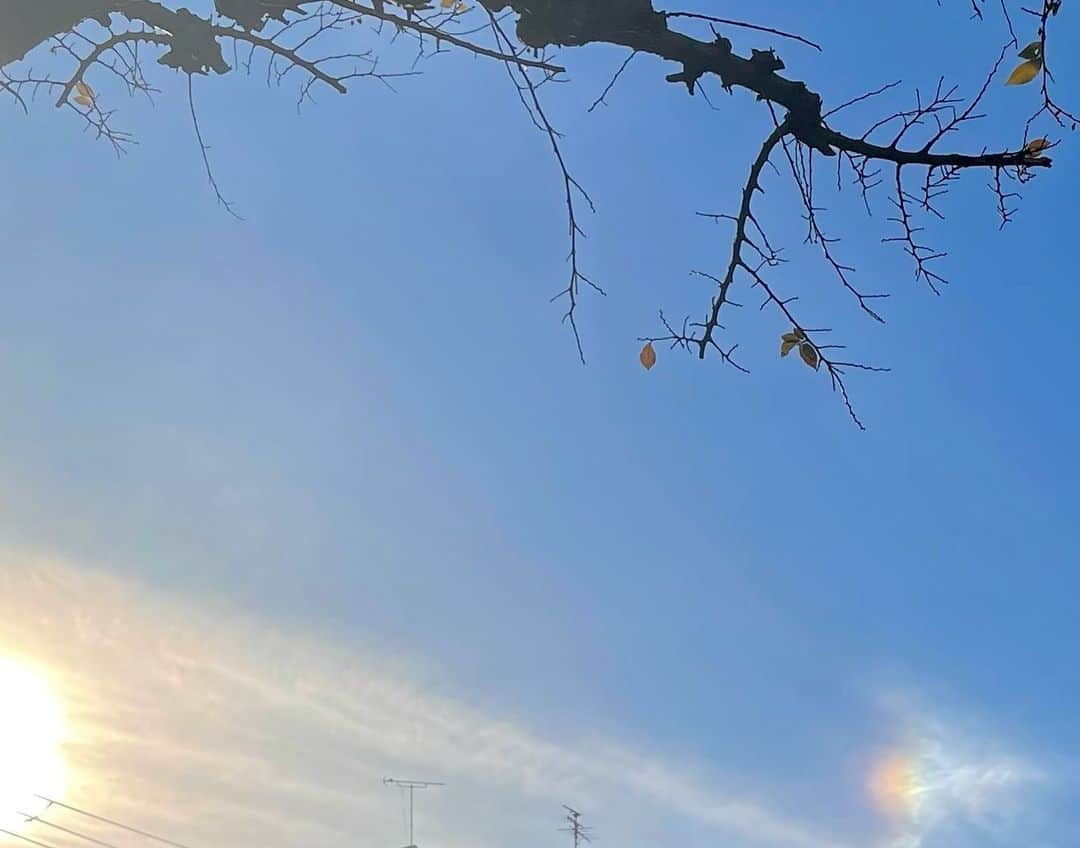 吉井明子さんのインスタグラム写真 - (吉井明子Instagram)「幻日🌈 初めて両側に見えました〜☺︎🌈 夢じゃない、げんじつだ😉嬉しい😆  「幻日（げんじつ）」は太陽の横で、薄雲が虹色に輝く現象です🌈  太陽高度が低い時に現れやすく、朝日や夕日の両脇によく見られます😌  ※目では太陽を直接見ないように、木に隠して手を伸ばして撮りました✨  #東京の空 #幻日 #太陽の横 #虹色 #🌈 #気象情報 #天気予報 #気象予報士 #気象キャスター #weatherforecaster #기상캐스터　#氣象主播 #吉井明子 #nhk #bs4k #bs1 #bsニュース4k」12月20日 15時27分 - akiko_yoshii_sunny_rain