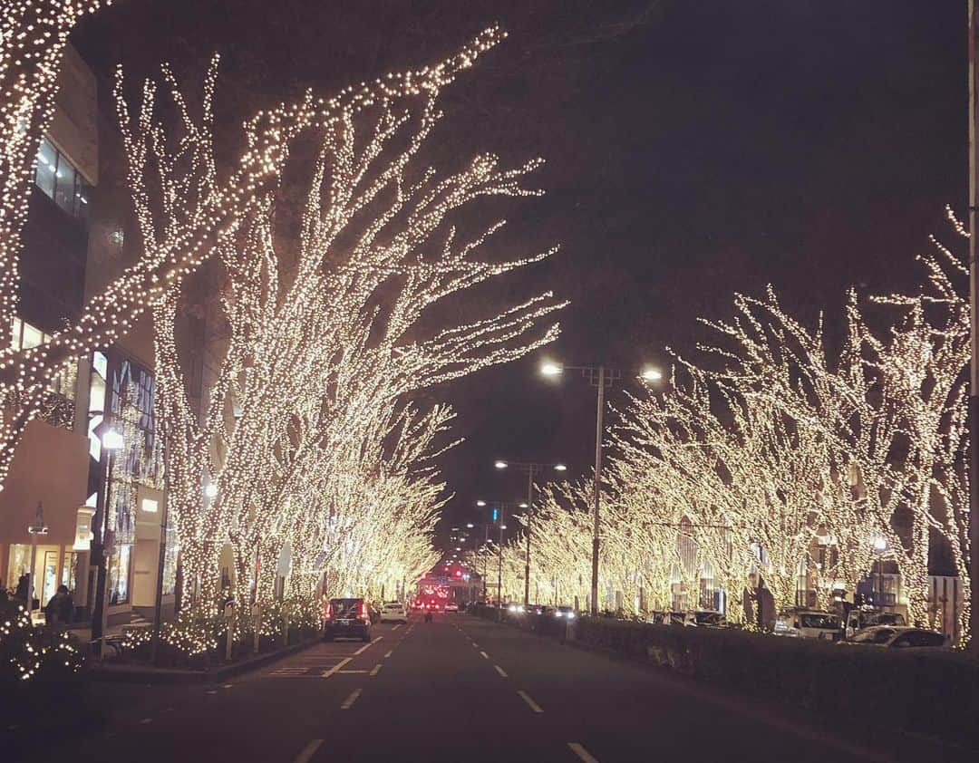 脇坂英理子さんのインスタグラム写真 - (脇坂英理子Instagram)「🎄🌟 イルミネーションも花火もこういう単色？のが一番好き☺️」12月21日 4時49分 - princess_rico