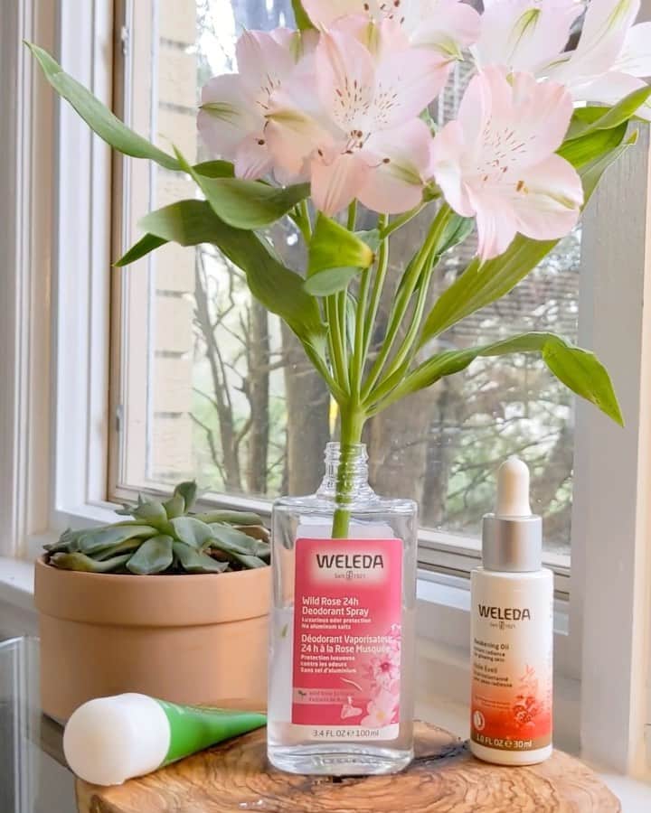 Weledaのインスタグラム：「Running low on your favorite Weleda personal care products? 🌸Upcycle your empties and head to Weleda.com for 40% off* when you buy 2 or more personal care products! #weledaskin」