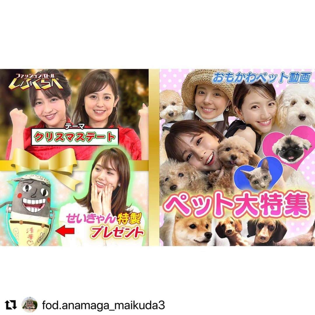 宮澤智のインスタグラム：「★ おもかわペット動画に 我が家の愛犬、リアンも登場してます！ ぜひ、FODでご覧ください🐶😊  #Repost  @fod.anamaga_maikuda3 @make_repost ・・・ 🎙🎄🐶 【フジアナのいろイロ】第３４回本日公開！   今年最後のフジいろは！？   🔻しふくらべ 「クリスマスデートのコーディネート対決２０２１」 去年はせいきゃん🆚杉原アナの同期対決だったこのテーマで 今年は久慈ちゃん🆚まりのんがバトル！🔥 理想のデート＆私服コーディネートを披露するよー。🎄  アナマガの中で１番撮影が恥ずかしいと噂のしふくらべ劇場ももちろんあるよっ！ (このコーナー、いつの間にか僕への負担が重くなってる気がするんだけどどういうこと？？🤔)    🔻おもかわペット動画 師走のあわただしい日々に、みんな疲れてきてないかい？ 今回はそんなみんなのための癒し企画！😇  アナウンサーが自分のかわいいペット動画にアテレコしたよー！🐕🐈‍⬛🦐  ナレーションとは一味違う声の出演にも注目してくれよな～！👂  榎並アナは自分で編集までしてくれたぞ！    アナマガの配信は年内まだあるけど、 僕が出演する番組はこれが最後！🎙 今年も１年フジアナのいろイロを見てくれてありがとう！🍀  来年も面白い企画をいっぱい考えてるから引き続きよろしくな〜〜🎙     #マイク田悟 #井上清華 #しふくらべ #久慈暁子 #藤本万梨乃 #おもかわペット動画 #西山喜久恵 #梅津弥英子 #榎並大二郎 #谷岡慎一 #三田友梨佳 #宮澤智 #堤礼実 #黒瀬翔生 #小室映莉子 #フジアナのいろイロ #FOD #FODアナマガ #アナマガ #無料配信 #フジテレビアナウンサー #プロフィールのリンクからアクセスしてね」