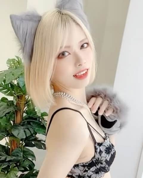 ぽにょ皇子のインスタグラム：「野生のぽにょ皇子があらわれた！！🐺  #cosplay #cosplayer #cosplaygirl # #コスプレ #コスプレイヤー #金髪 #グラビア #dj」
