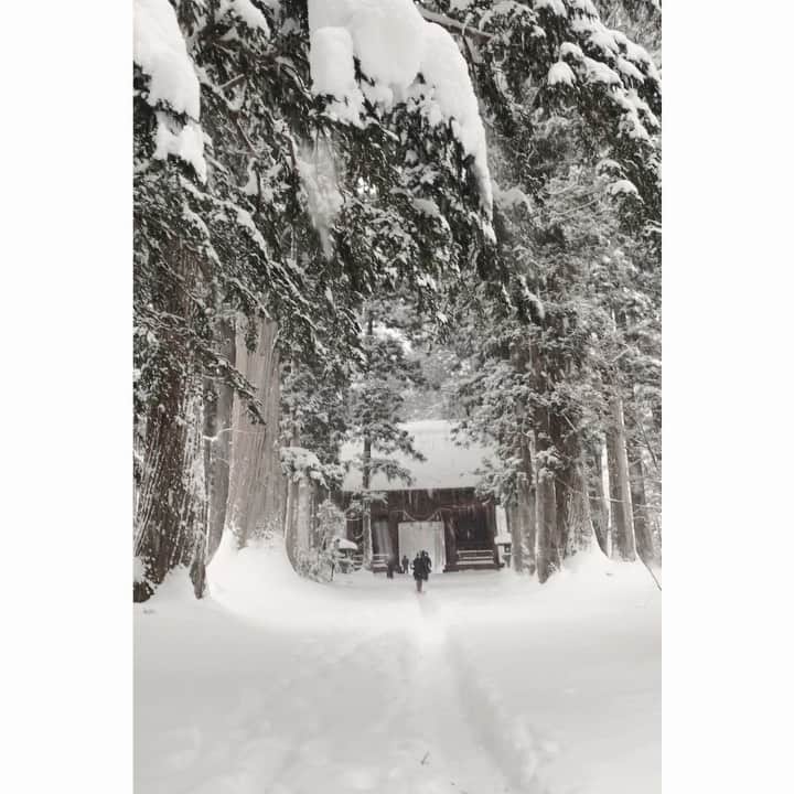 七瀬遥のインスタグラム：「本当に😳  もの凄い大雪だったぁぁぁ✨☃️❄️☃️❄️☃️❄️✨  #大雪#長野#戸隠神社#奥社#最高#雪景色#beautiful#snow#smile#fun#love#good#friend#family#happiness#good#smile#japan」