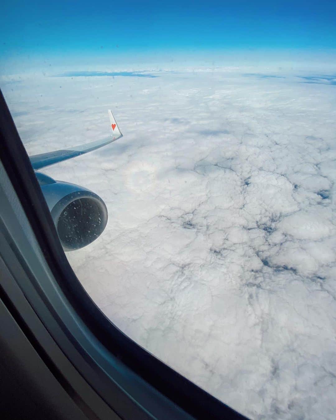 Rihwaさんのインスタグラム写真 - (RihwaInstagram)「もこもこ⛅️⛅️⛅ ブロッケン現象！😍✈️️🌈🌈🌈 ただいま、北海道！❄️ #Lucky #ブロッケン現象  #飛行機 #虹 #✈️🌈」12月21日 0時13分 - rihwa_official