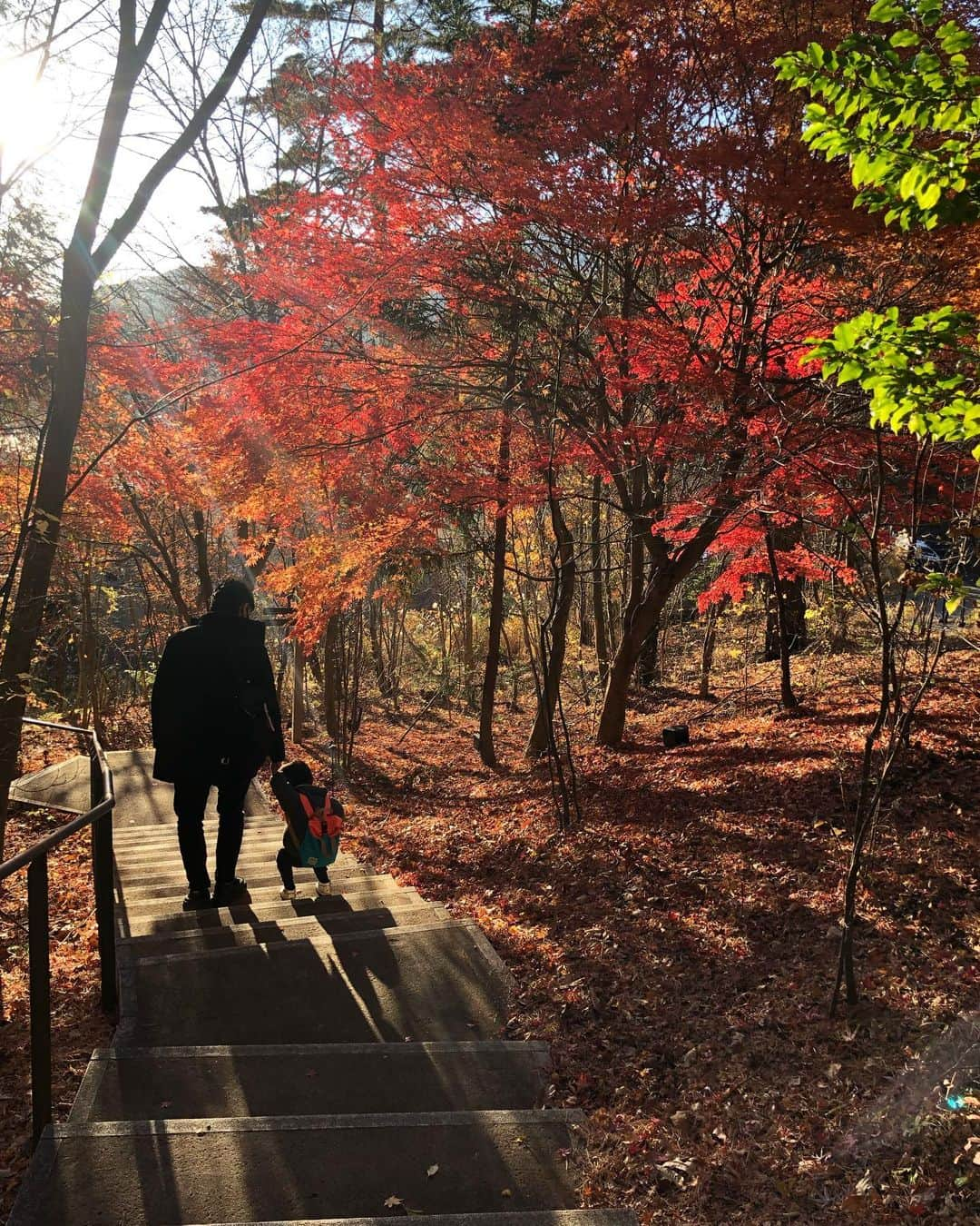 加藤未央さんのインスタグラム写真 - (加藤未央Instagram)「今朝、嬉しいことがあった。  近所のスタバで次男を連れて夫と喋りながら受け取り待ちをしていたら、前に並んでいたお客さんから「仲が良くて羨ましいです」と微笑まれました。  見ず知らずの方からそんなふうにお声がけいただくのは初めてだったから不意にキョトンとしてしまったけど😅でも嬉しかったなぁ。  子どもはいつか親の手を離れるものだけど、 夫婦は基本的には一生のパートナーだもんね。  一生一緒にいる相手との時間を楽しく幸せになるよう心がけることが、人生の幸福度アップに繋がる気がします😊  言葉遣いひとつとっても、優しいものを。 嫌な気持ちになったときも、突き放すのではなくハグを。 誰よりも一番に相手を思いやれるように。  そんな夫婦でありたいなと改めて思えた今朝でした👍  写真は、少し前に行った星のや富士です🍁🗻」12月21日 13時41分 - mio.ka10