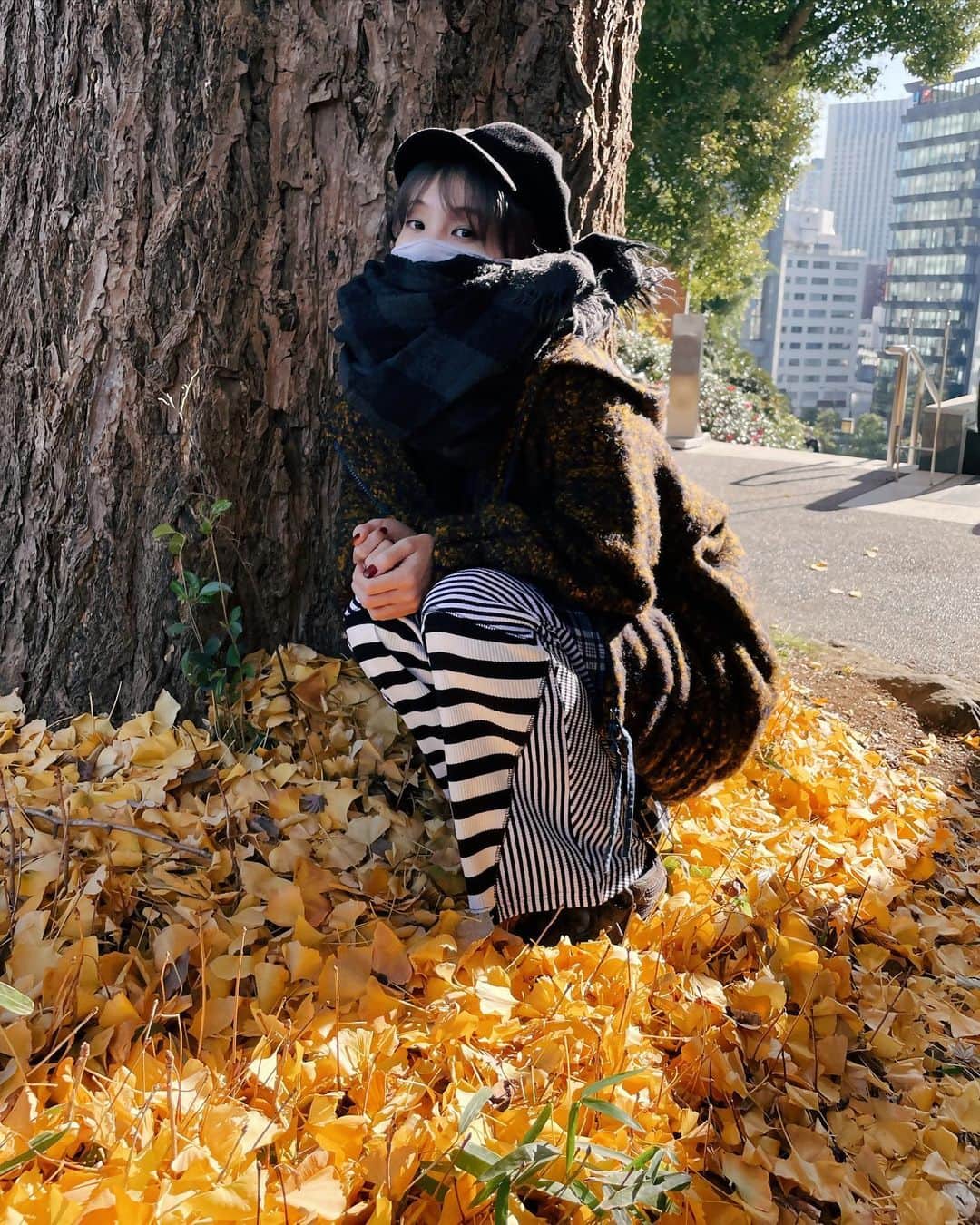 LiSAさんのインスタグラム写真 - (LiSAInstagram)「まだ秋あった🟡 あったかいね。」12月21日 14時09分 - xlisa_olivex
