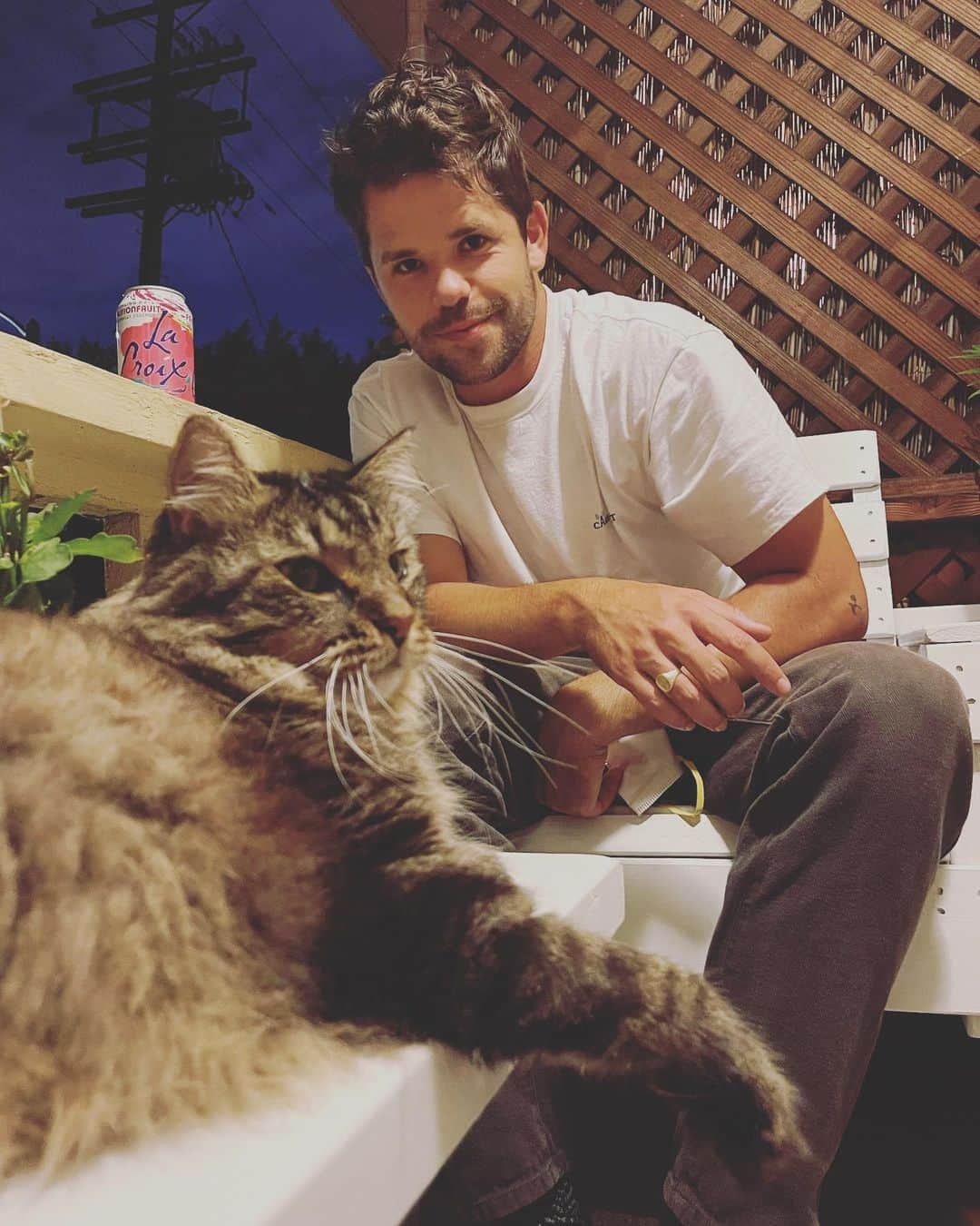 マックス・カーバーさんのインスタグラム写真 - (マックス・カーバーInstagram)「meow」12月21日 6時26分 - maxcarver