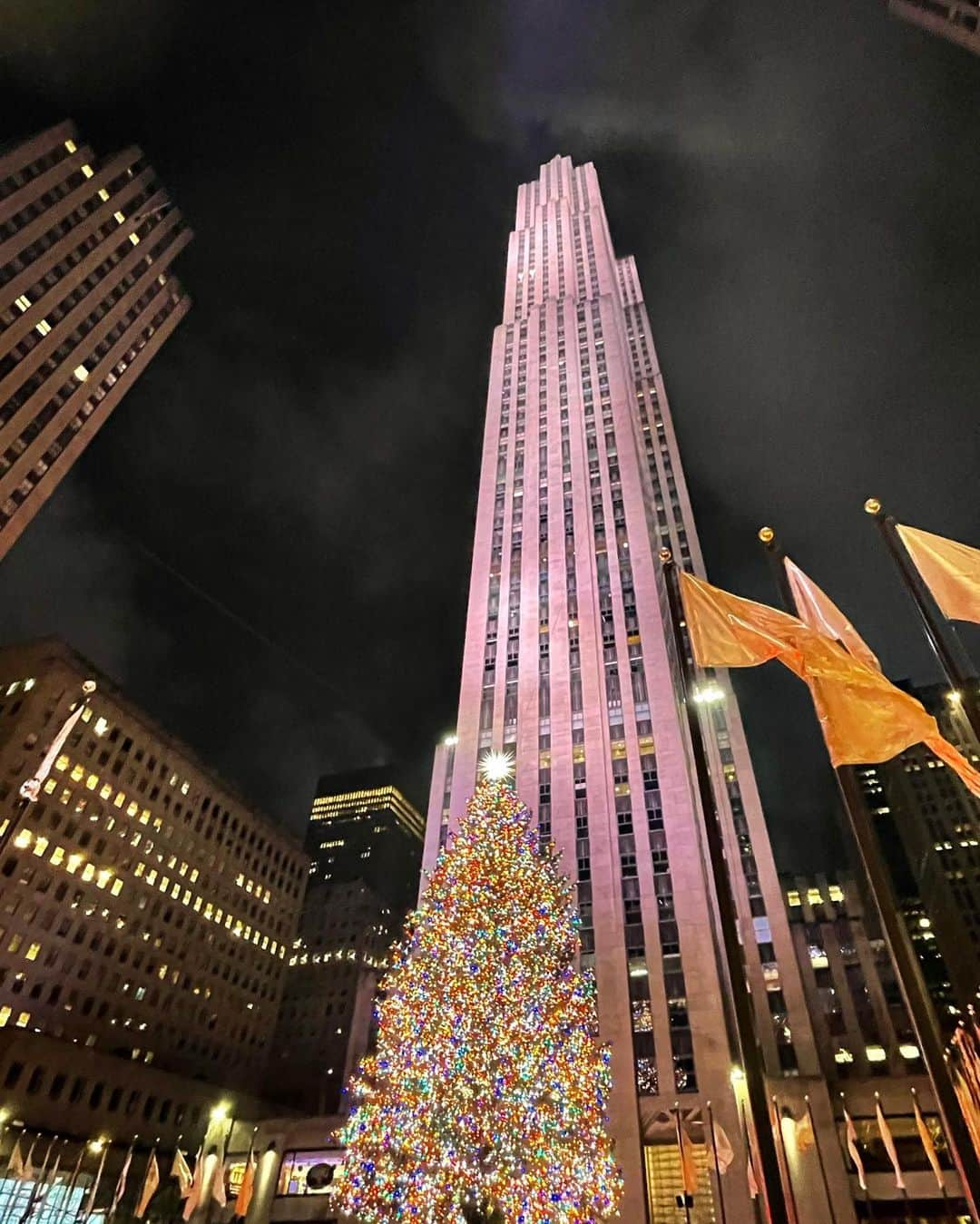 マイア・シブタニさんのインスタグラム写真 - (マイア・シブタニInstagram)「Don’t have a tree this year, so I visited one. 🎄✨」12月21日 10時12分 - maiashibutani