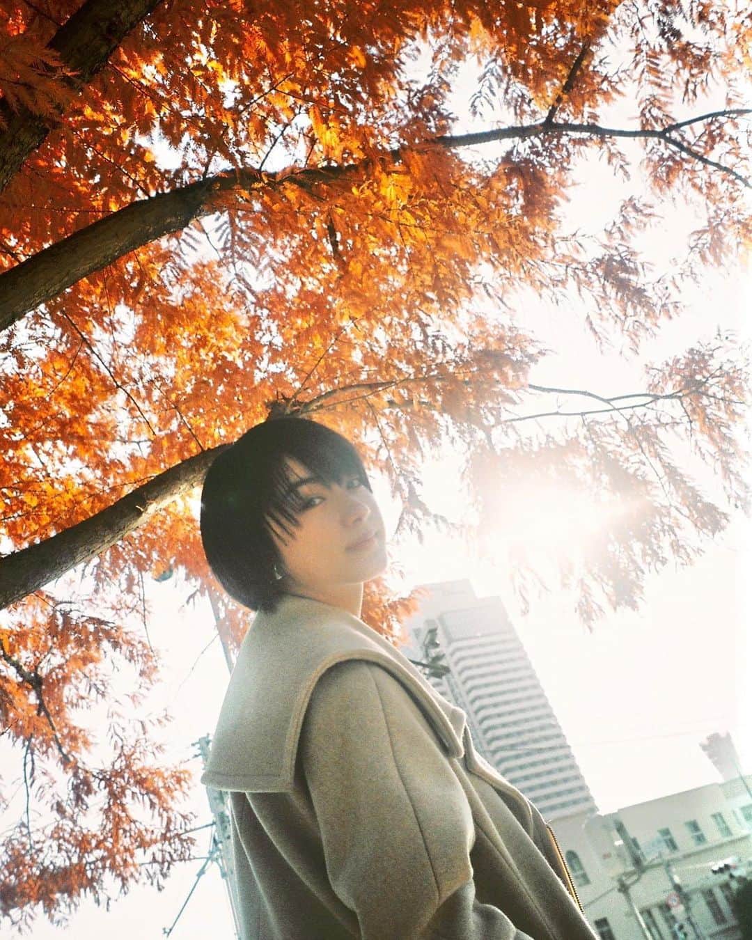 平祐奈さんのインスタグラム写真 - (平祐奈Instagram)「🍂🍂🍂 大阪の親友がフィルムで撮ってくれました  15歳の時ロスで出逢って8年…はやいなぁ☺︎ #シンユウカメラ」12月21日 20時51分 - yunataira_official