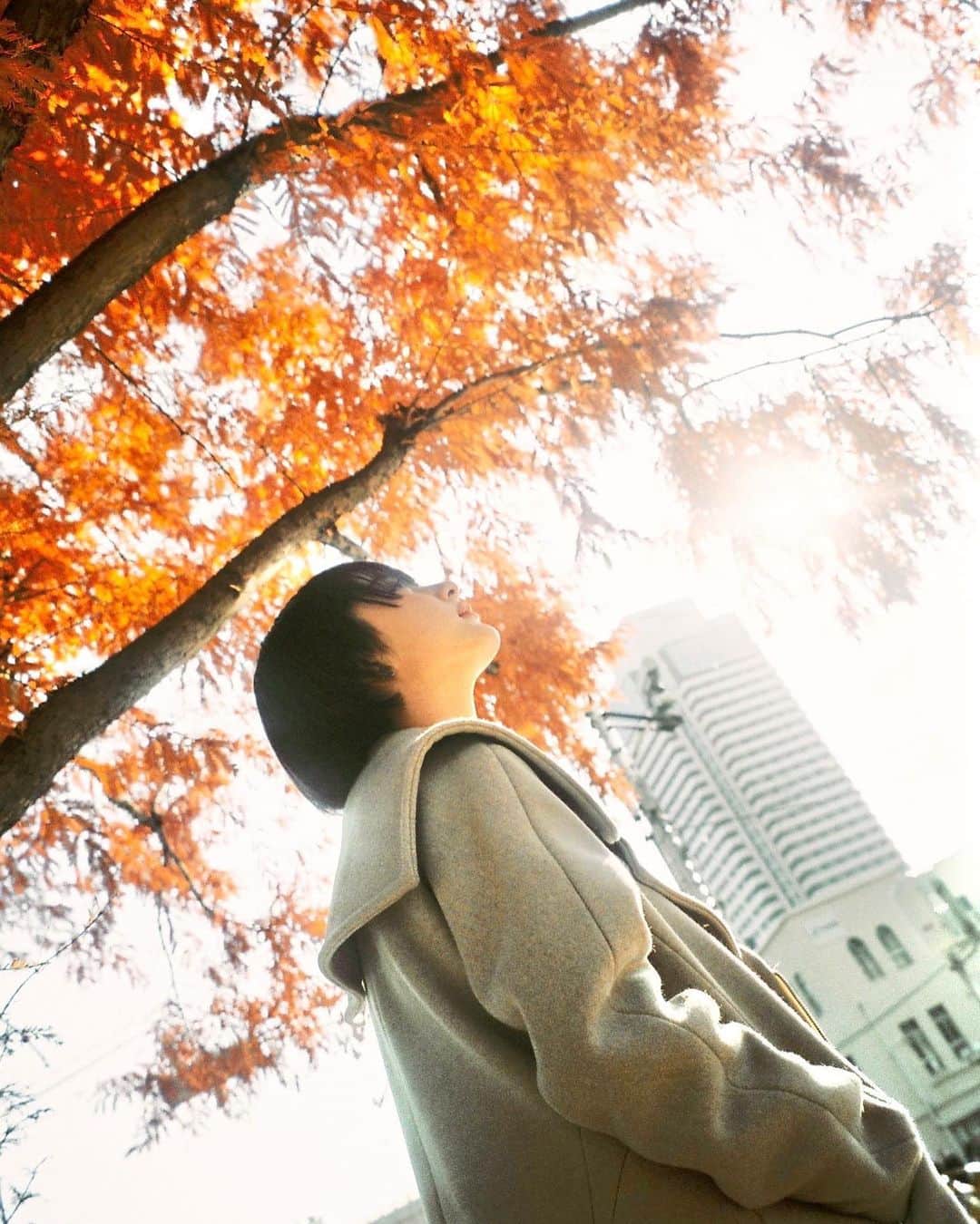 平祐奈さんのインスタグラム写真 - (平祐奈Instagram)「🍂🍂🍂 大阪の親友がフィルムで撮ってくれました  15歳の時ロスで出逢って8年…はやいなぁ☺︎ #シンユウカメラ」12月21日 20時51分 - yunataira_official