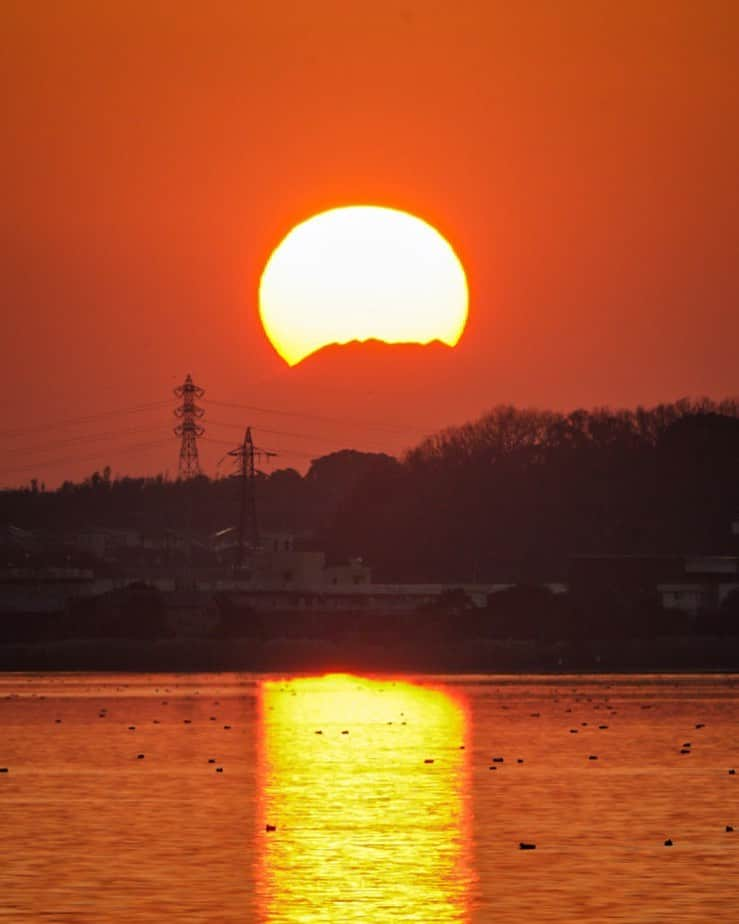 Atsushi Aizawaのインスタグラム：「12/11 霞ヶ浦  #富士山 #夕陽 #霞ヶ浦 #夕焼けハンター  Ibaraki, Japan  #japanfocus #jp_gallery #instagramjapan #ig_japan #wu_japan #wu_asia #worldunion #theworldshotz #igersjp #team_jp_ #team_jp_東 #team_jp_skyart  #mtfuji #Japan #natureaddict Mt. Fuji  Ibaraki, Japan #Lovers_Nippon #東京カメラ部 #japan_night_view #phos_japan #写真好きな人と繋がりたい #bestjapanpics #photo_shorttrip #sonyworldclub」