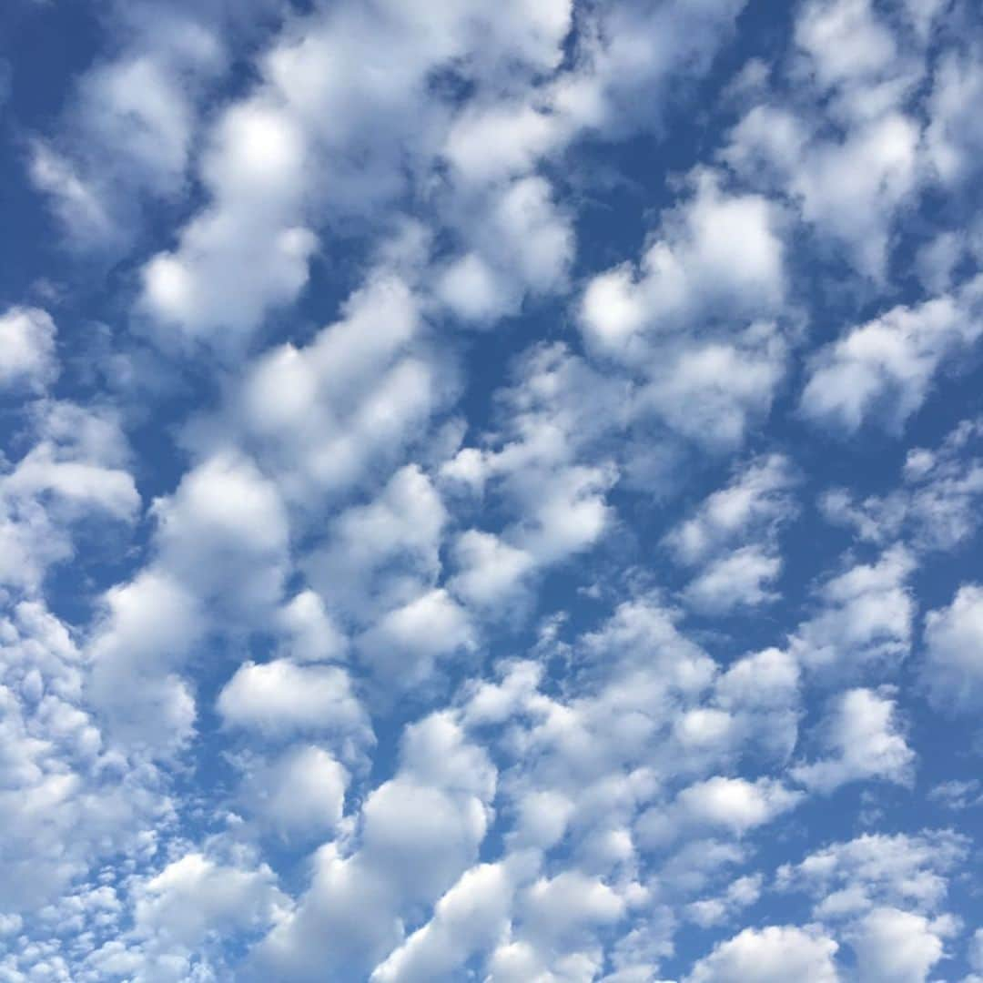 財前直見さんのインスタグラム写真 - (財前直見Instagram)「🍙 彩雲？ 昨日の朝の空に彩雲かな？ 綿菓子のような雲も、空を見る👀のが楽しい🤗  今年のNHK「おおいた暮らし彩彩」 今日のO.Aで仕事納めです 簡単チョコケーキや、チーズケーキを紹介しています クリスマスに作ってみて下さいね💕 鏡餅も作りました(*^^*) 冬至だから今日は、ゆず風呂に入ります👍 🍙 #彩雲 #おおいた暮らし彩彩 #雲  #クリスマス #簡単 #チョコケーキ #チーズケーキ #冬至 #ゆず風呂 #鏡餅 #直見工房 #財前直見 #🍙」12月22日 13時20分 - naomi_zaizen_official