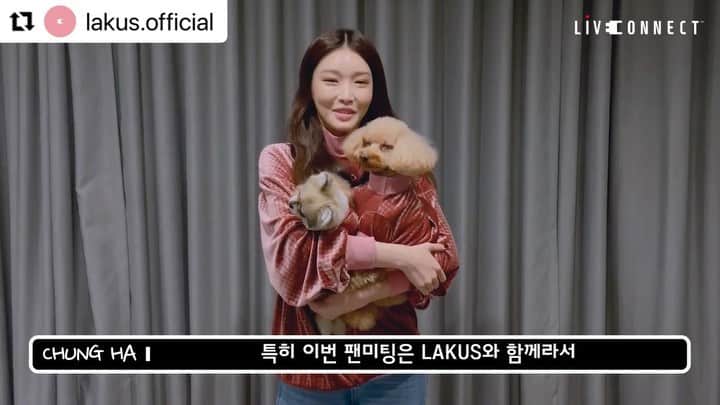 のインスタグラム：「#Repost @lakus.official with @make_repost ・・・ [#LAKUS] 'Healing time with CHUNG HA' 인사 영상  'Healing time with CHUNG HA' 인사 영상  2021.12.30 8pm(KST)  ■Live Streaming LAKUS https://www.lakus.live  ■Ticket INTERPARK KOR : https://bit.ly/3F1M6WB INTERPARK GLOBAL : https://bit.ly/323pFlx LAKUS https://www.lakus.live/event/chungha1230/  #LIVECONNECT #LAKUS #라이브커넥트 #라커스 #CHUNGHA #청하」
