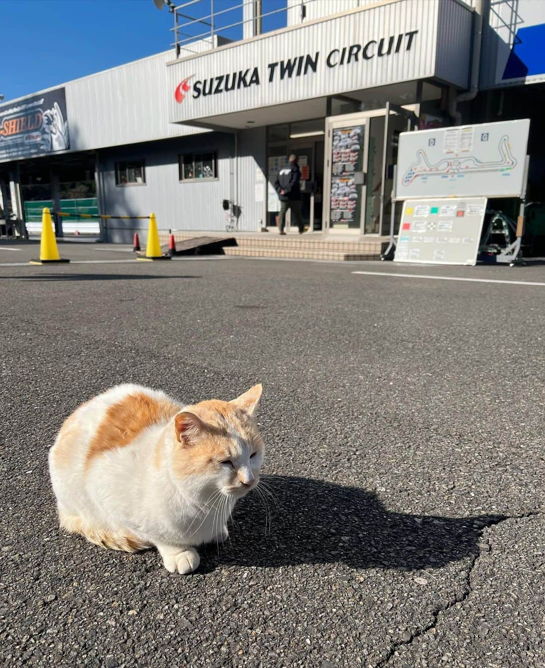 霧島聖子さんのインスタグラム写真 - (霧島聖子Instagram)「先日、三重トヨペットさん主催の社内イベントに マサ監督、ドライバーさんがたと共に 2021 WedsSport Racing Galsも参加致しました✨ 同乗走行体験では私も国本選手の運転するマシンに 同乗させていただき大迫力の大興奮😳 カートレースのチーム戦にも参戦しましたよーー‼️ トークショーやお楽しみ抽選大会もあり 皆さんと一緒に1日沢山盛り上がりました❤️‍🔥 私はカートはRACING PROJECT BANDOHの youtube撮影以来の2度目の挑戦でした！ 本番ではスピンしてしまったりコース外の溝にハマってしまったり足を引っ張ってしまいましたが…😭 カートで走るのは本当に楽しい‼️🏎 もっと上手になりたいな…！ この日のイベントやカートレースの模様は  @bandoh_19 のアカウントにも掲載されているので チェックして下さいね👀  三重トヨペットさんのイベント、とっても楽しかったです。 素敵な経験を有難うございました🐧  1枚目は鈴鹿ツインサーキットにいたかわいいねこさん🐈 とても人馴れしていてなついてくれました( ´ ▽ ` )ﾉ ♡  #三重トヨペット #鈴鹿ツインサーキット #RacingProjectBANDOH #tgrteamwedssportbandoh #WedsSportBANDOH #WedsSport #WedsSportRacingGals #カート #同乗走行 #RQ #racequeen #レースクイーン」12月22日 16時31分 - seiko_kirishima