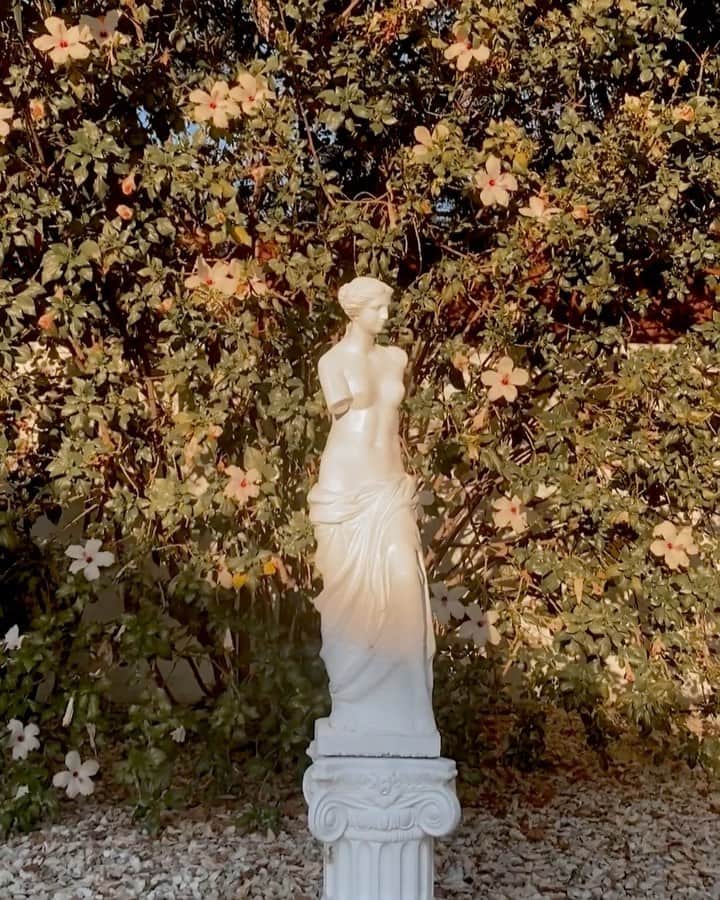 のインスタグラム：「Just a reminder that you are divine 🕊🤍」