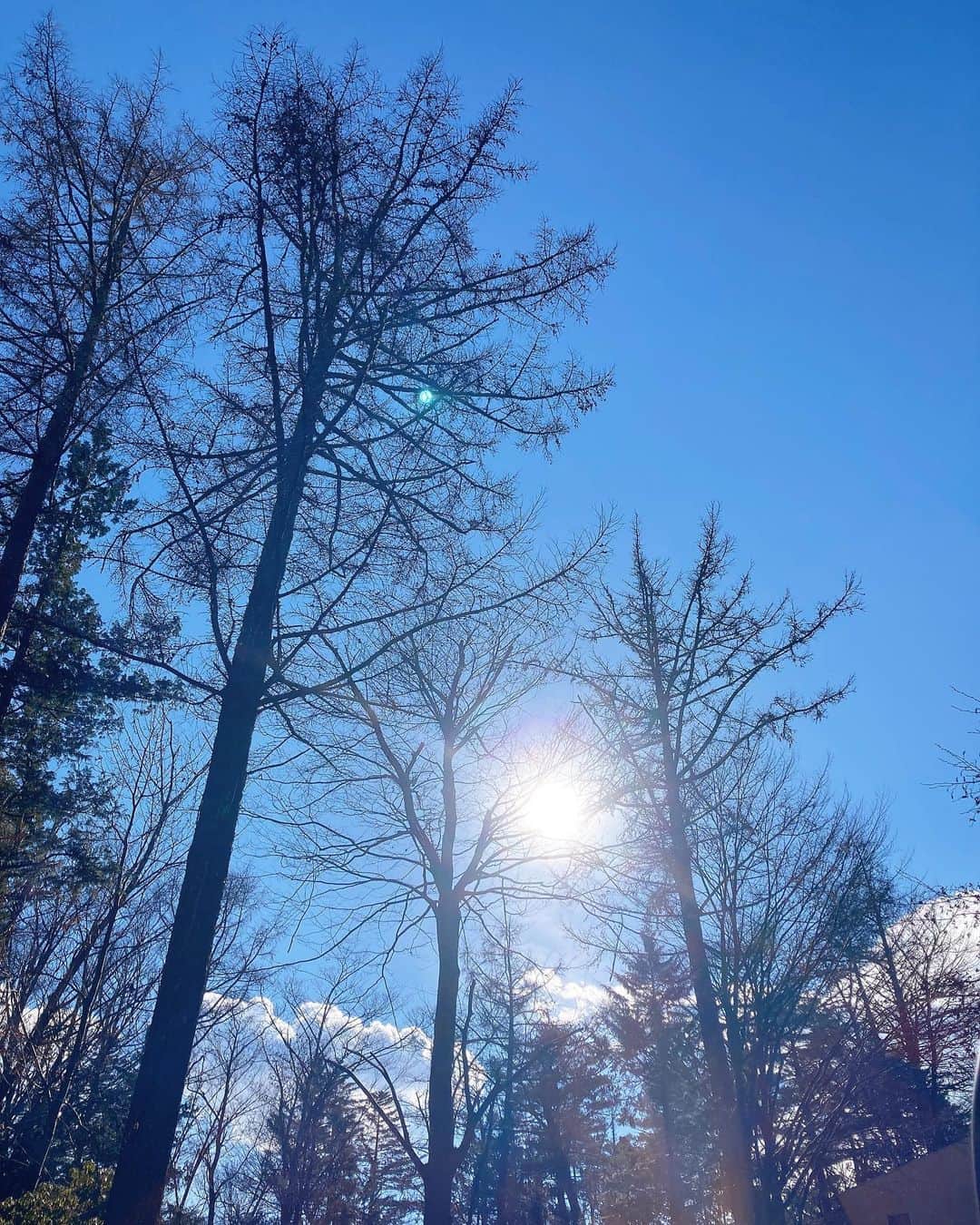のインスタグラム：「寒さの中の暖かさ❄️」