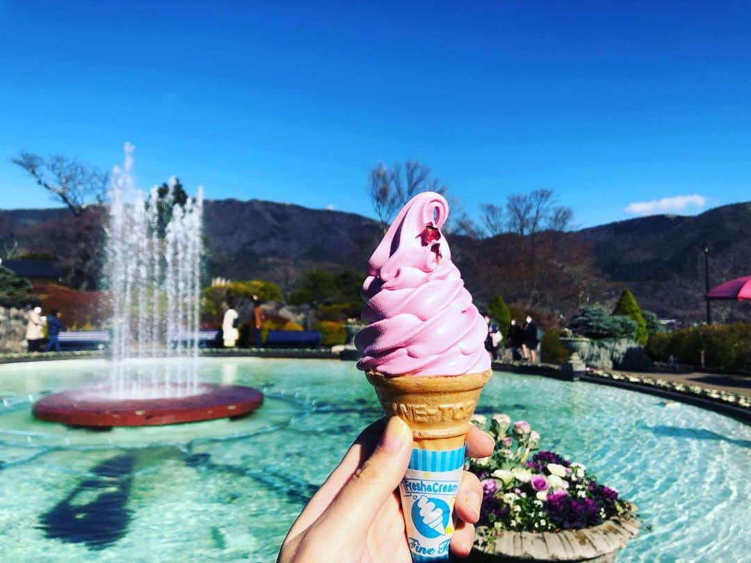 紺野ぶるまさんのインスタグラム写真 - (紺野ぶるまInstagram)「🌹🐬🍦 バラ味ってなんでも美味しいよね #強羅公園」12月22日 23時42分 - buruma_konno