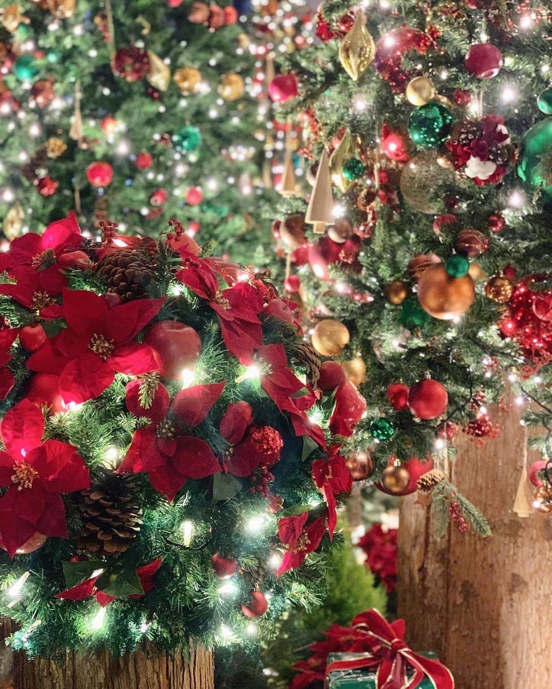 青木りえさんのインスタグラム写真 - (青木りえInstagram)「🎄 . 𝐌𝐞𝐫𝐫𝐲 𝐂𝐡𝐫𝐢𝐬𝐭𝐦𝐚𝐬 🎅🏼⋆꙳ May your Christmas wishes come true! . . #christmas#Xmas#クリスマス#クリスマスツリー#クリスマス#🎄」12月23日 0時39分 - aokirie0418