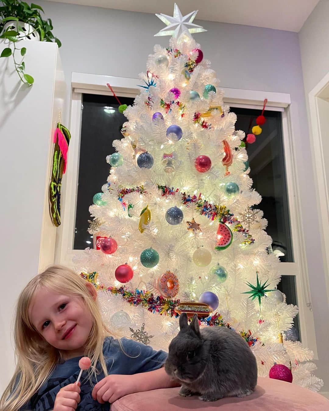 テス・ホリデーのインスタグラム：「The Christmas season around my house has been full of laughter & friends & yummy snacks & I wouldn’t want it any other way🎄❤️」