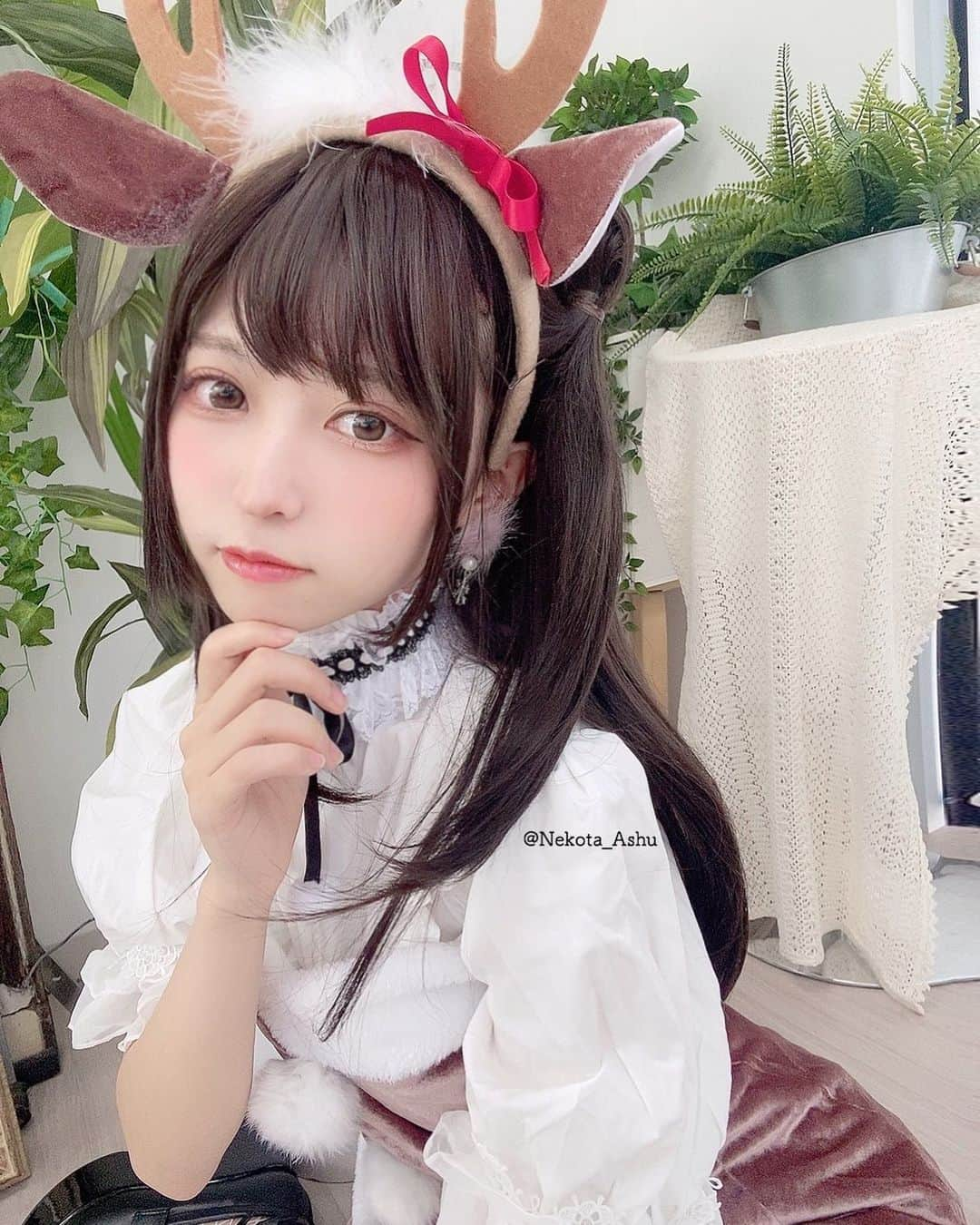 猫田あしゅのインスタグラム