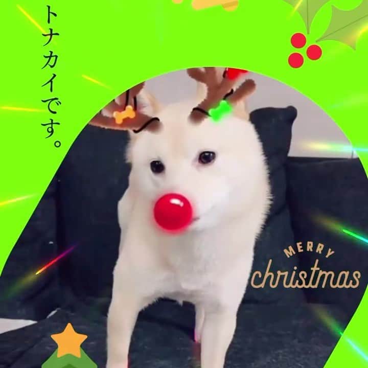 u-meK00000000 YUMIKO HORIKIRI ZUMBA のインスタグラム