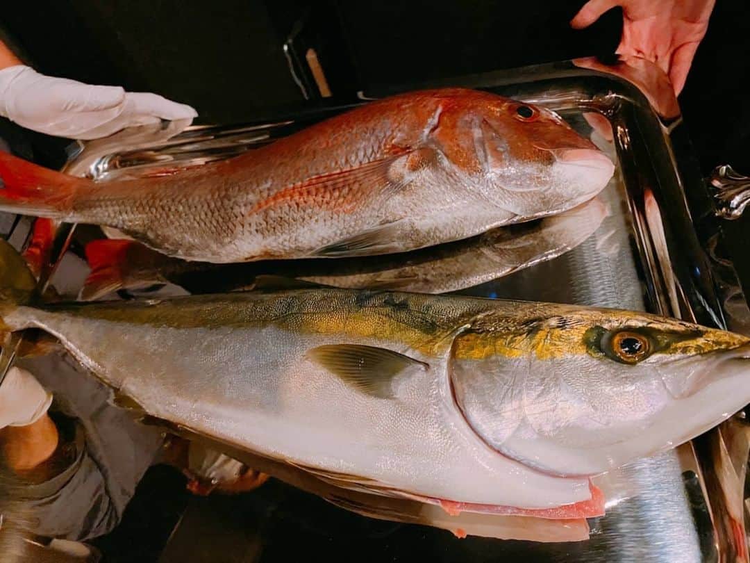 さとう珠緒のグルメインスタ