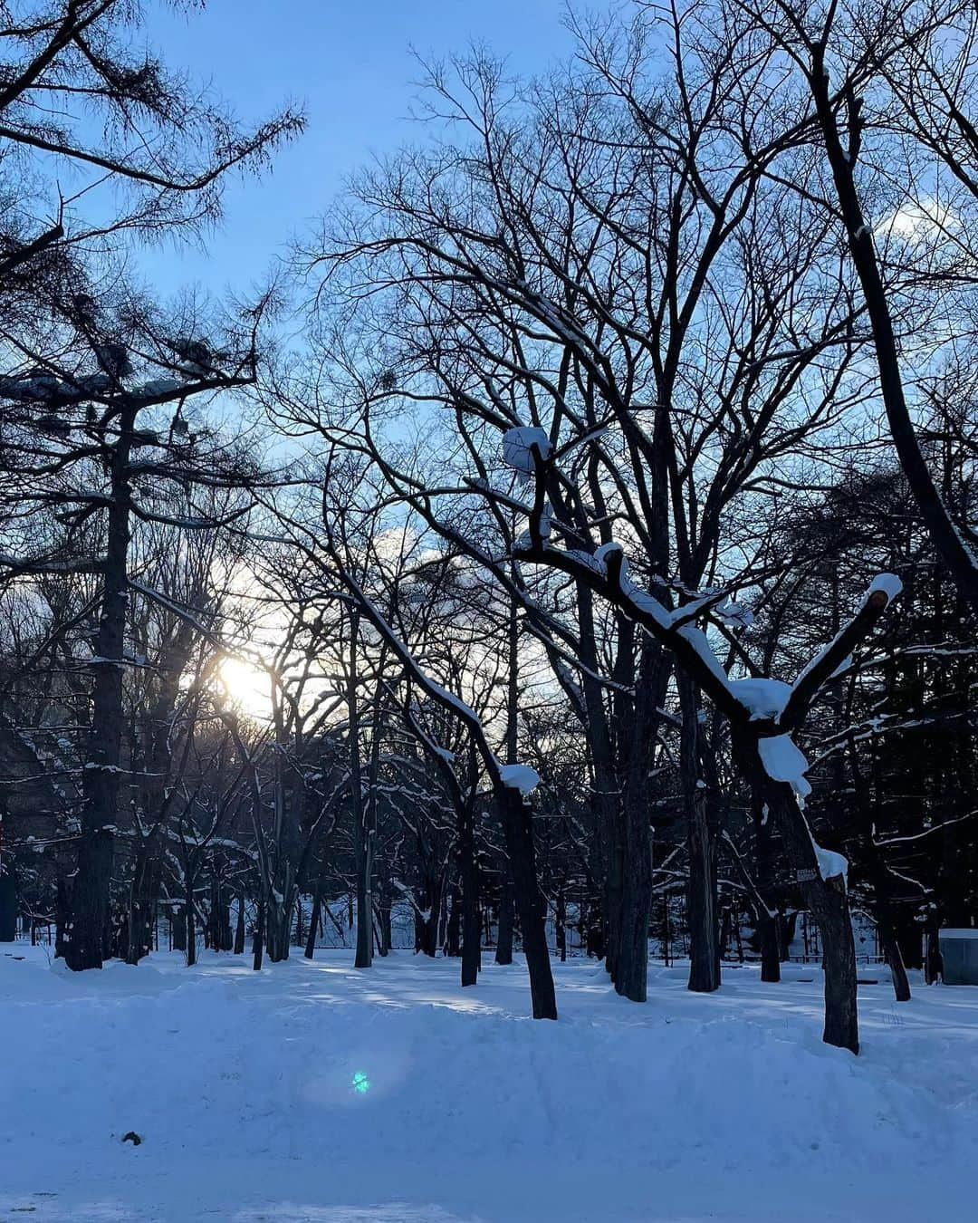 日髙竜太さんのインスタグラム写真 - (日髙竜太Instagram)「🏂」1月17日 18時05分 - ryutahidaka.official