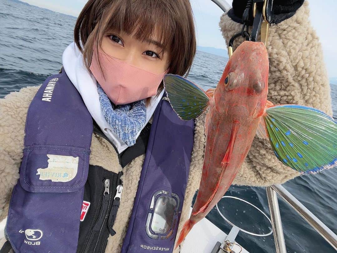 ななせ結衣のインスタグラム：「新年初釣り‪🎣‬ . 初魚はホウボウちゃんでした🐟 . 久しぶりのタイラバ楽しかった〜🥺👏 タイが釣れなかったのはとっても残念だけど 初釣りボウズじゃなくてよかったです🤣🤣 . .  #釣り #魚 #fishing  #angler  #fish  #釣り好きな人と繋がりたい  #釣り女子 #釣りスタグラム  #釣りガール #japan  #japanesegirl」