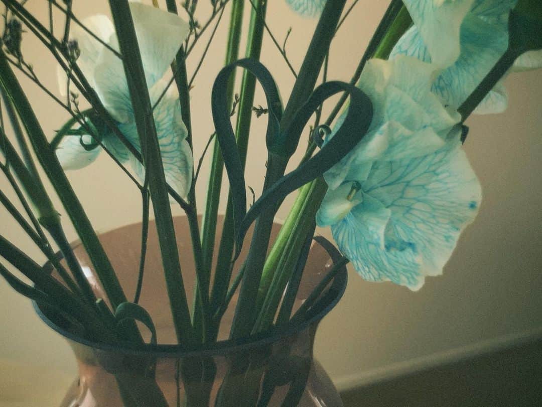 真奈さんのインスタグラム写真 - (真奈Instagram)「おーちがお花だらけ  しあわせ💐  #花まみれ真奈　#thankyou」1月17日 14時08分 - manatmnt0116